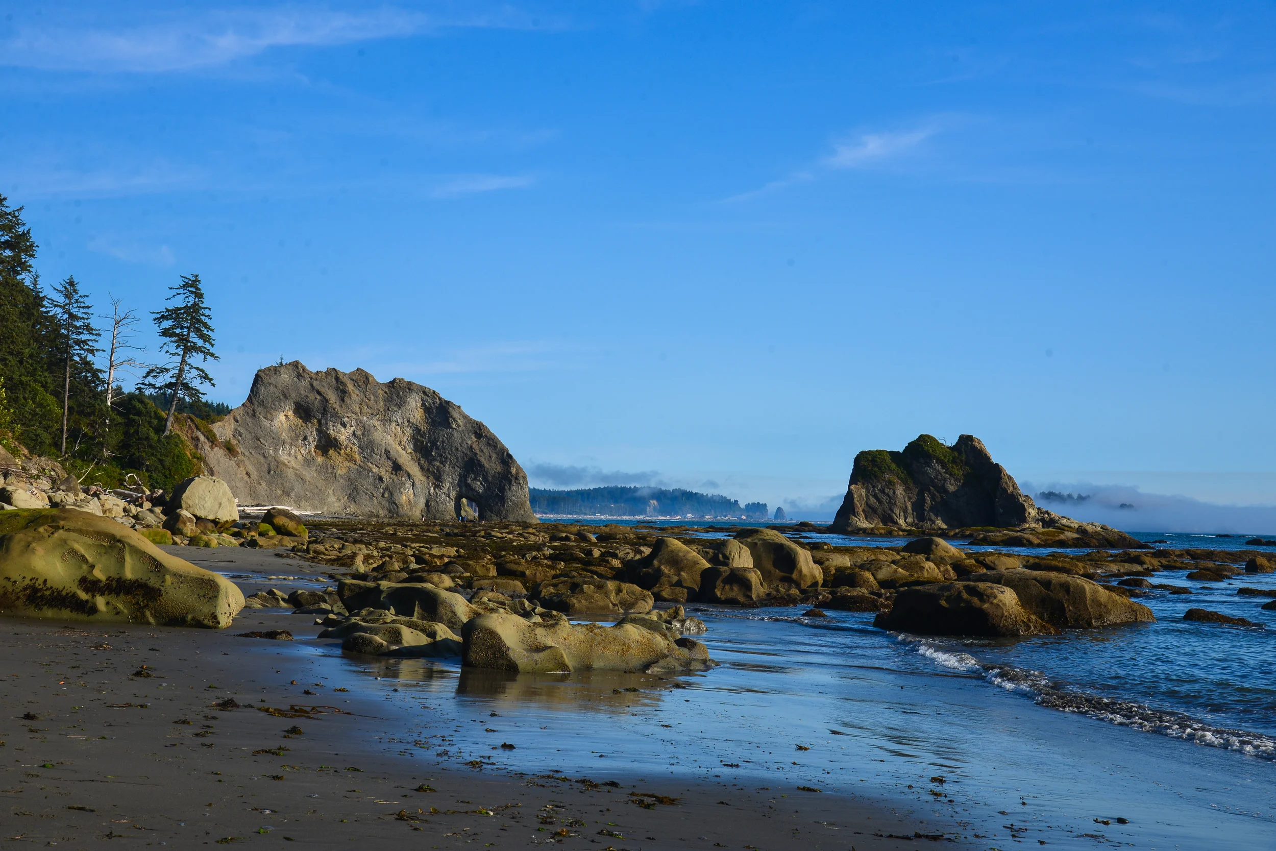 DSC_4190.jpg