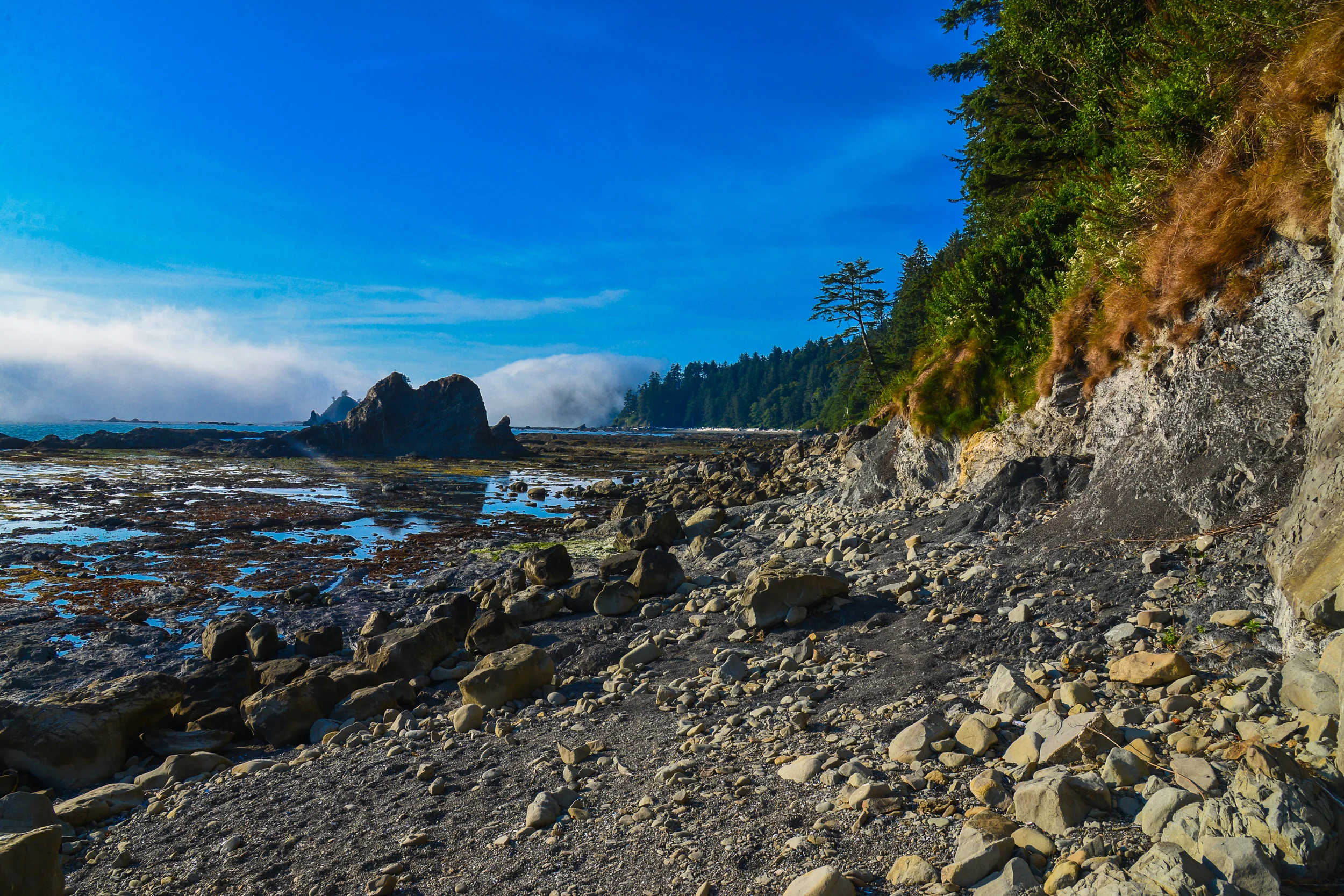 DSC_4192.jpg