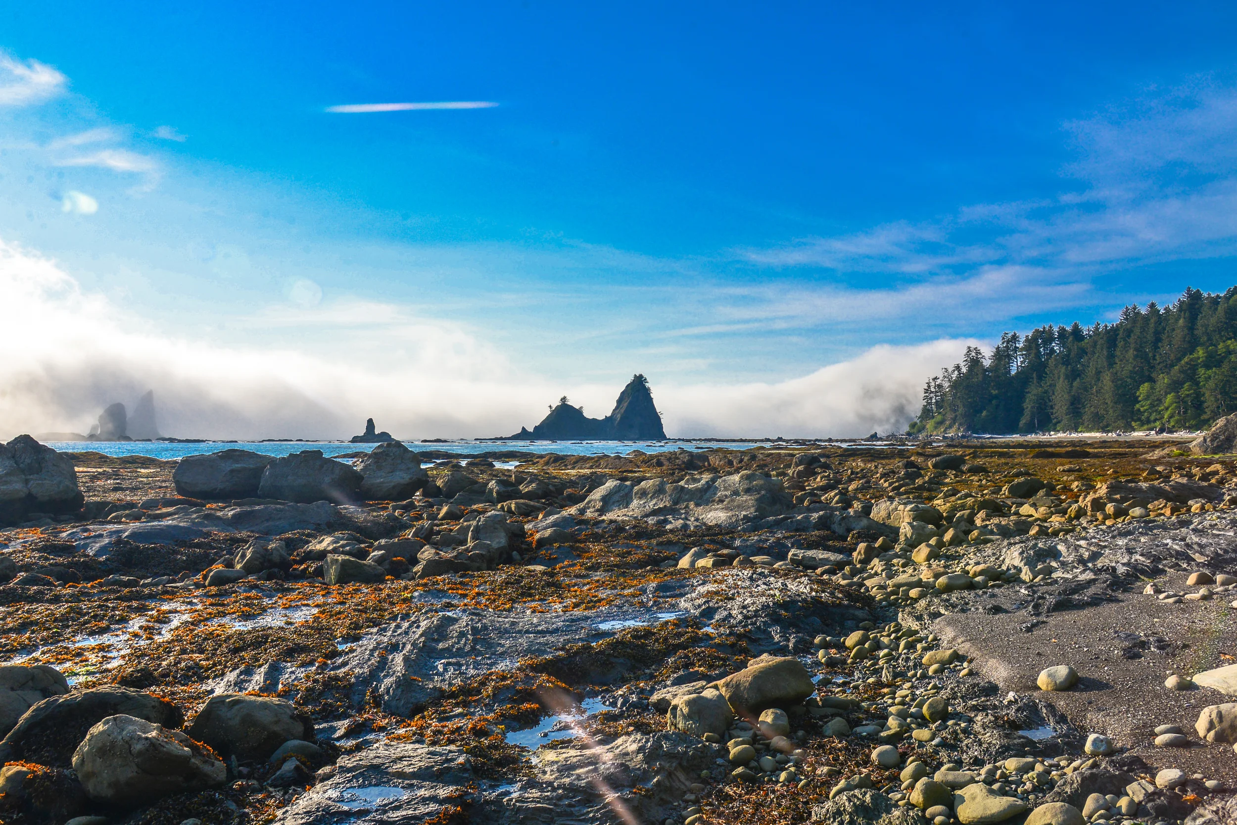 DSC_4194.jpg
