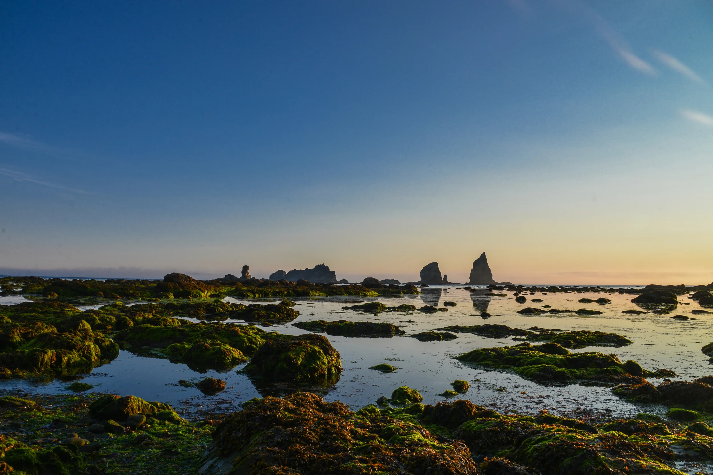 DSC_4234.jpg