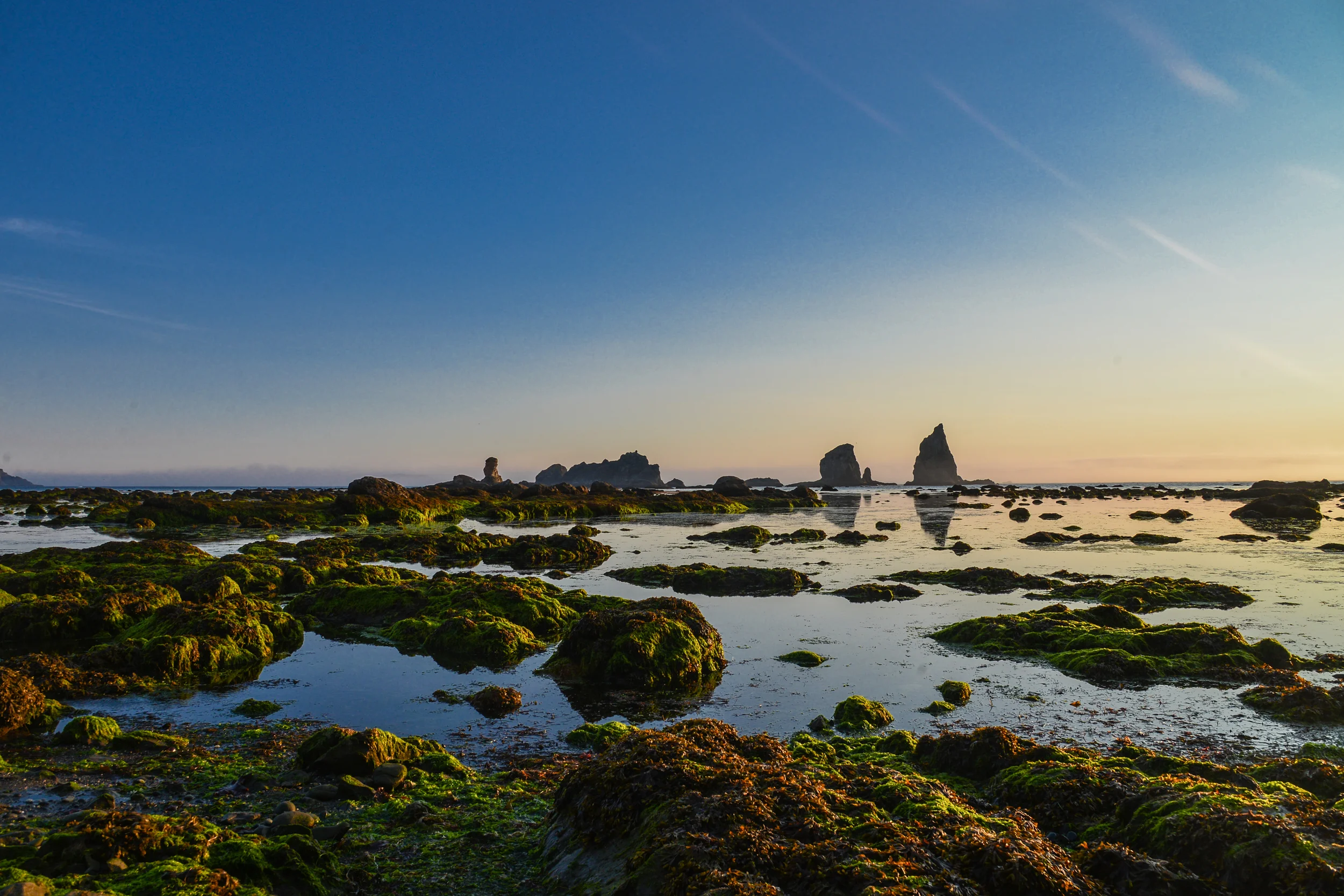 DSC_4235.jpg