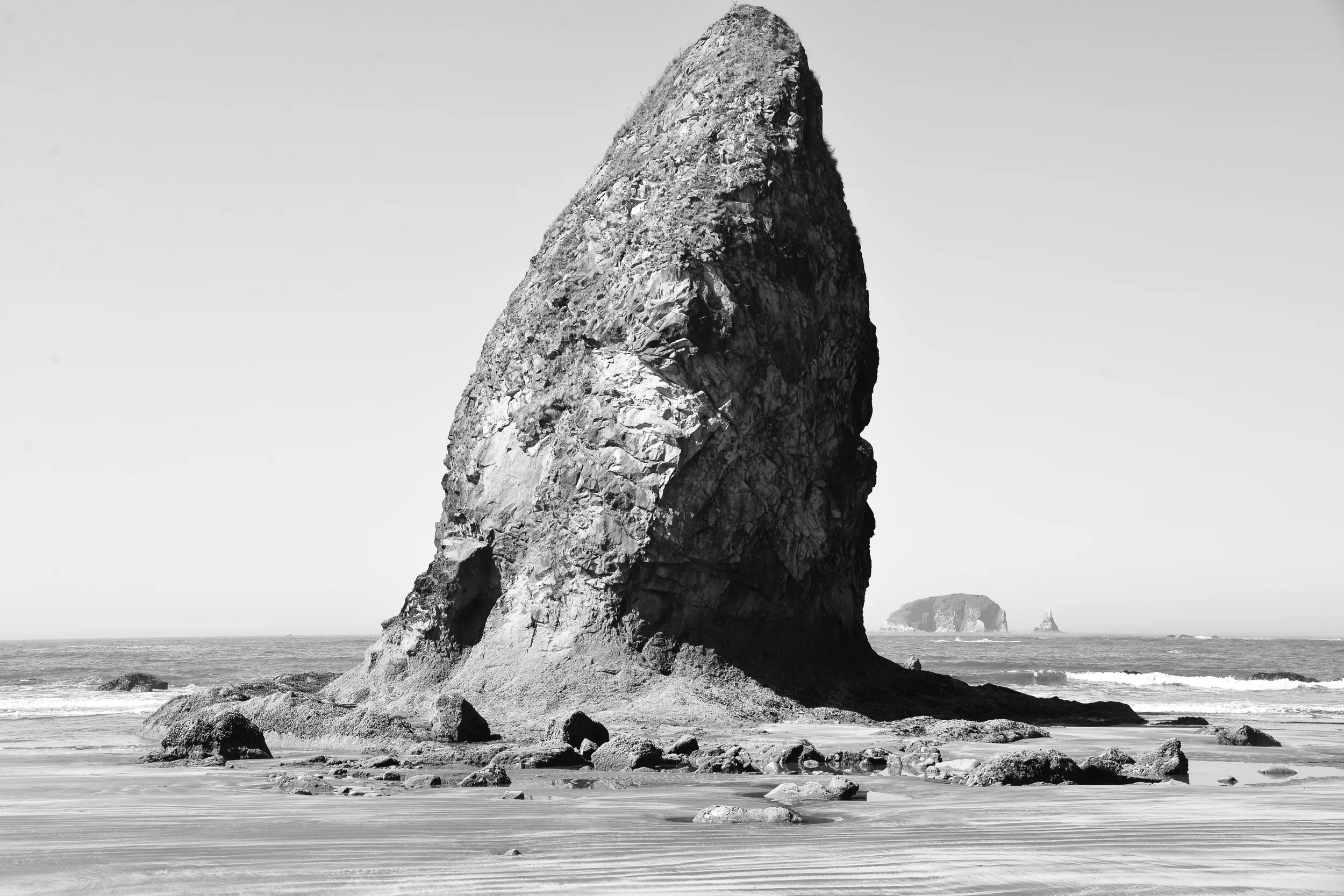 DSC_4292.jpg