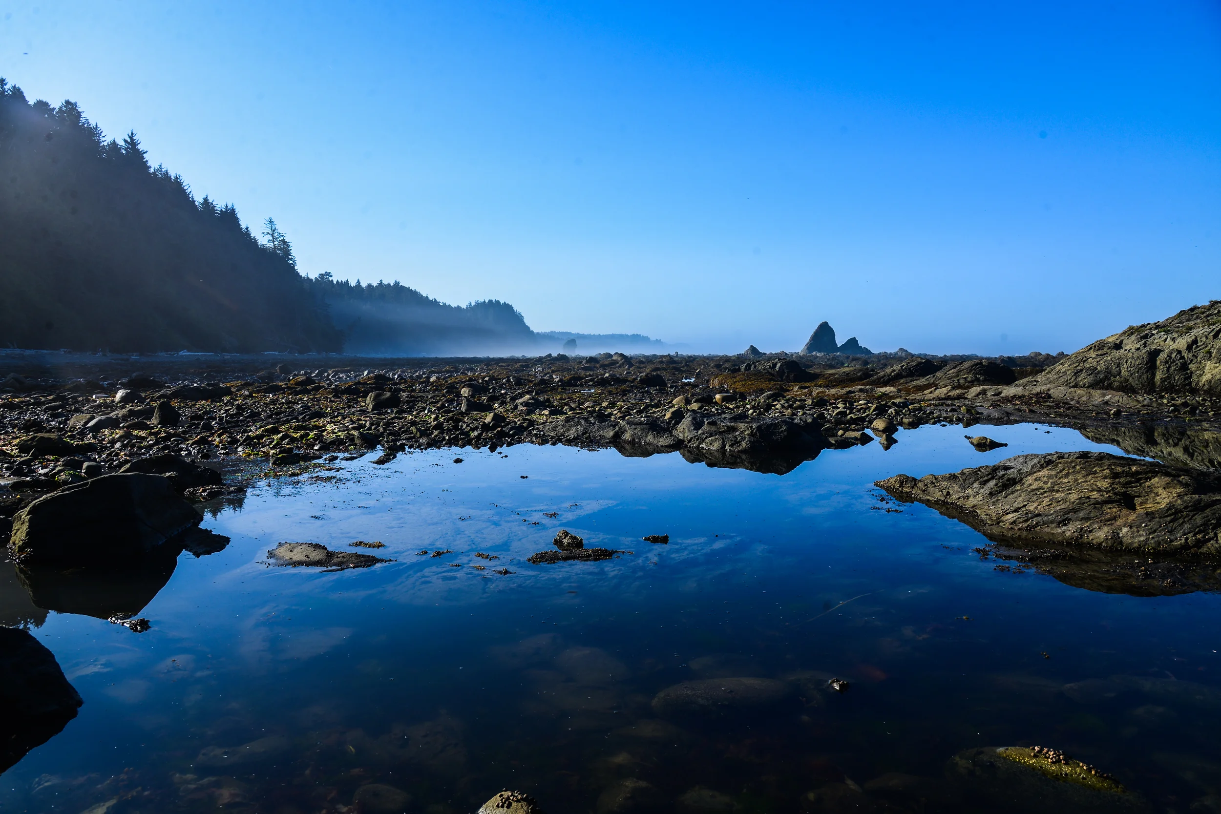 DSC_4367.jpg