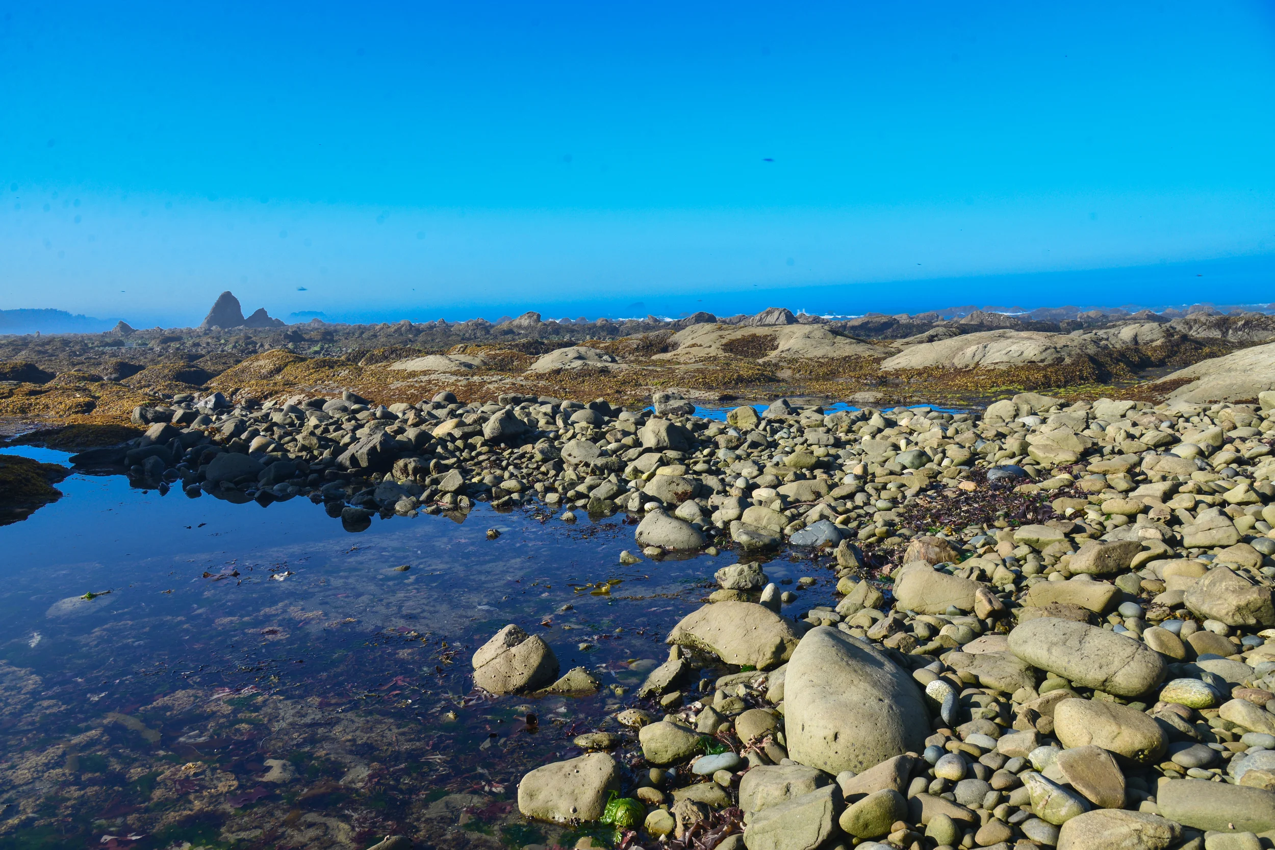 DSC_4370.jpg