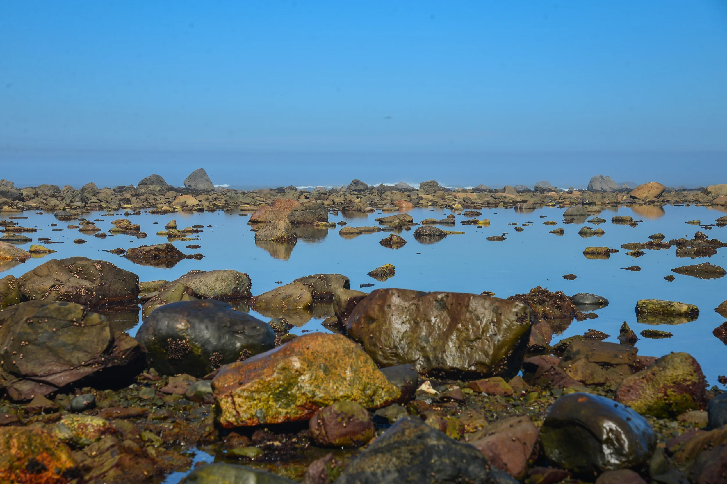 DSC_4381.jpg