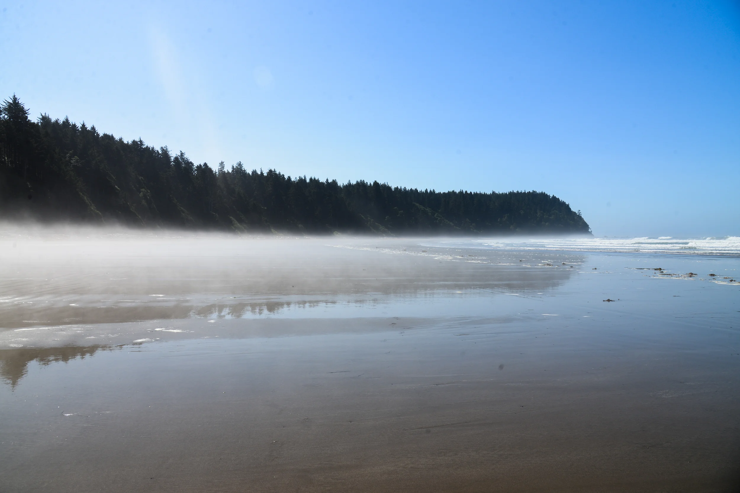 DSC_4392.jpg