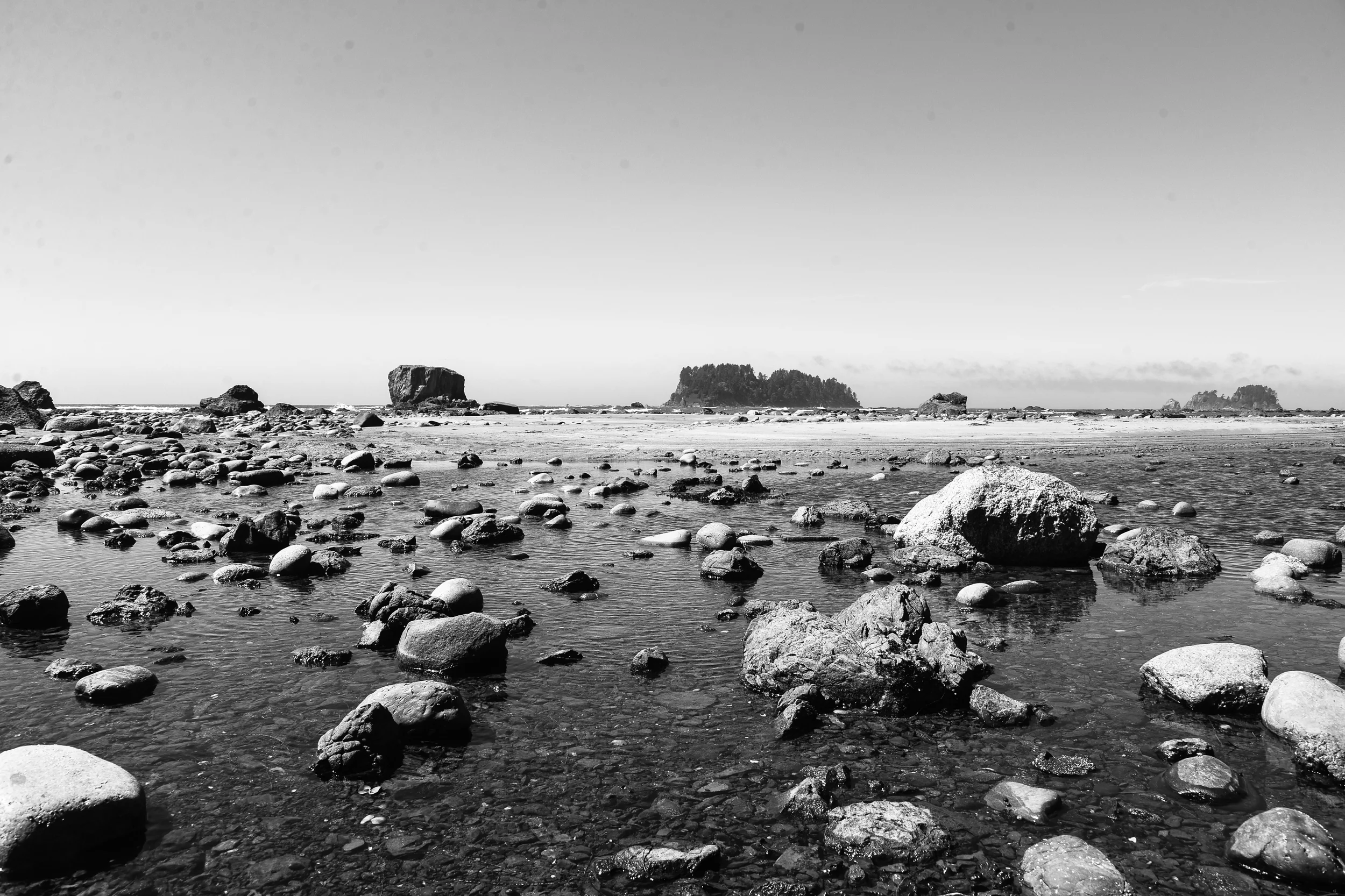 DSC_4423.jpg
