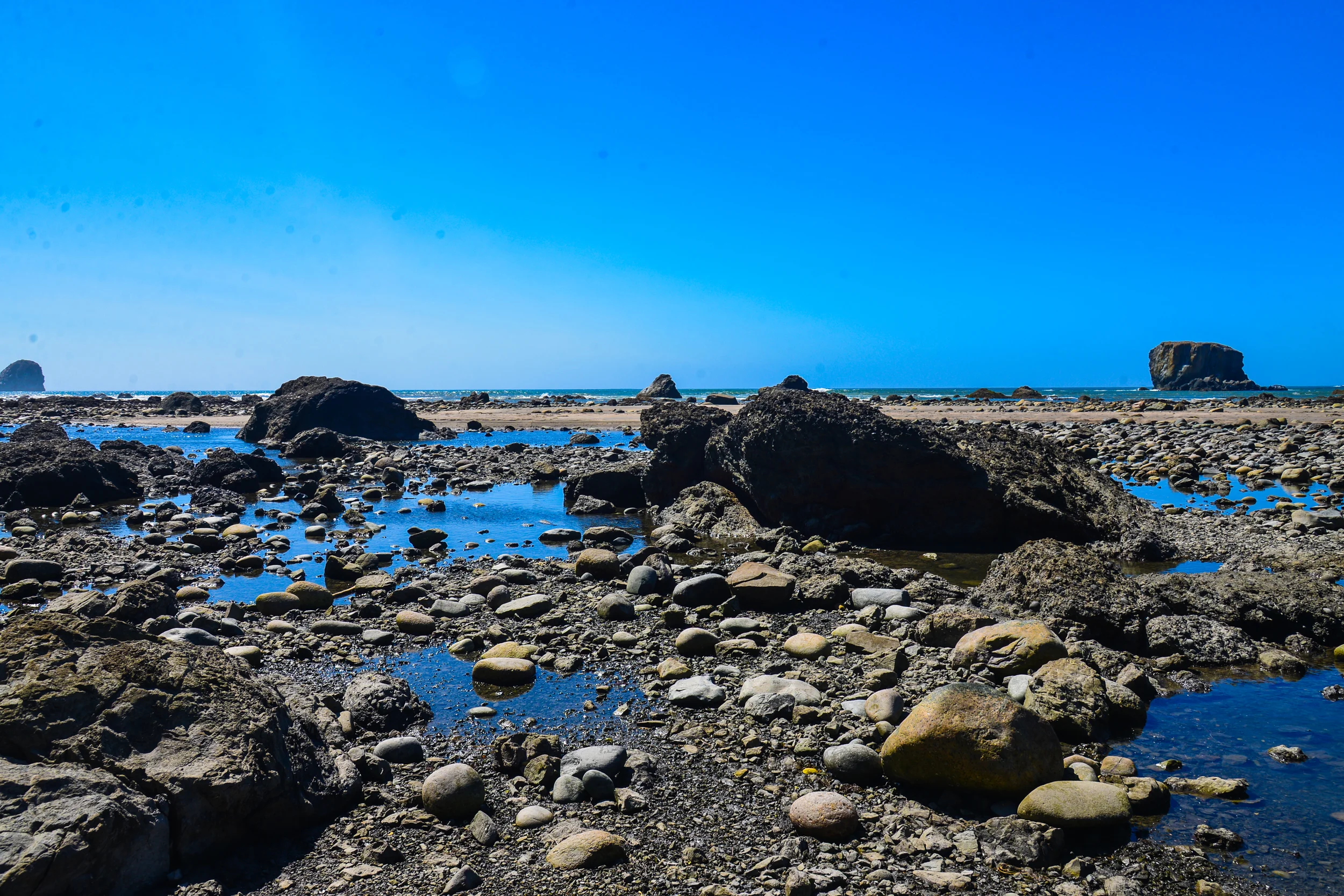 DSC_4424.jpg