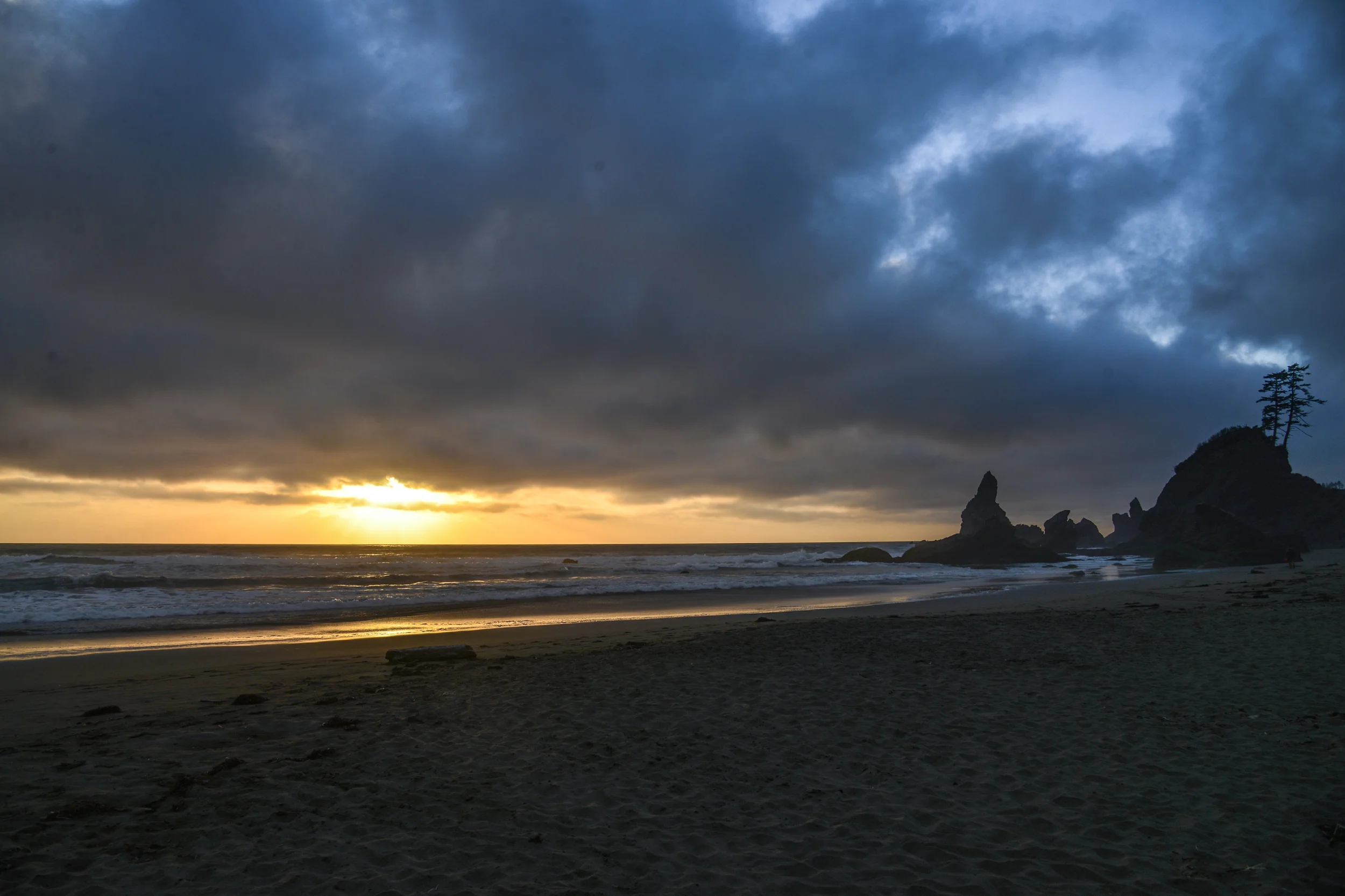 DSC_4437.jpg