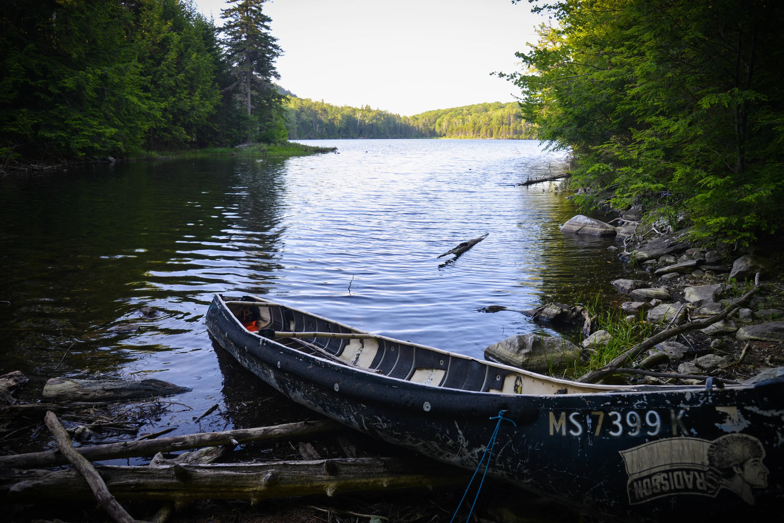 DSC_7728.jpg