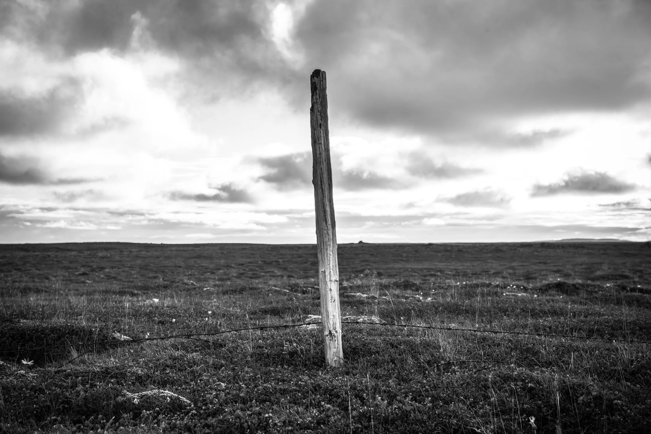 DSC_8016.jpg