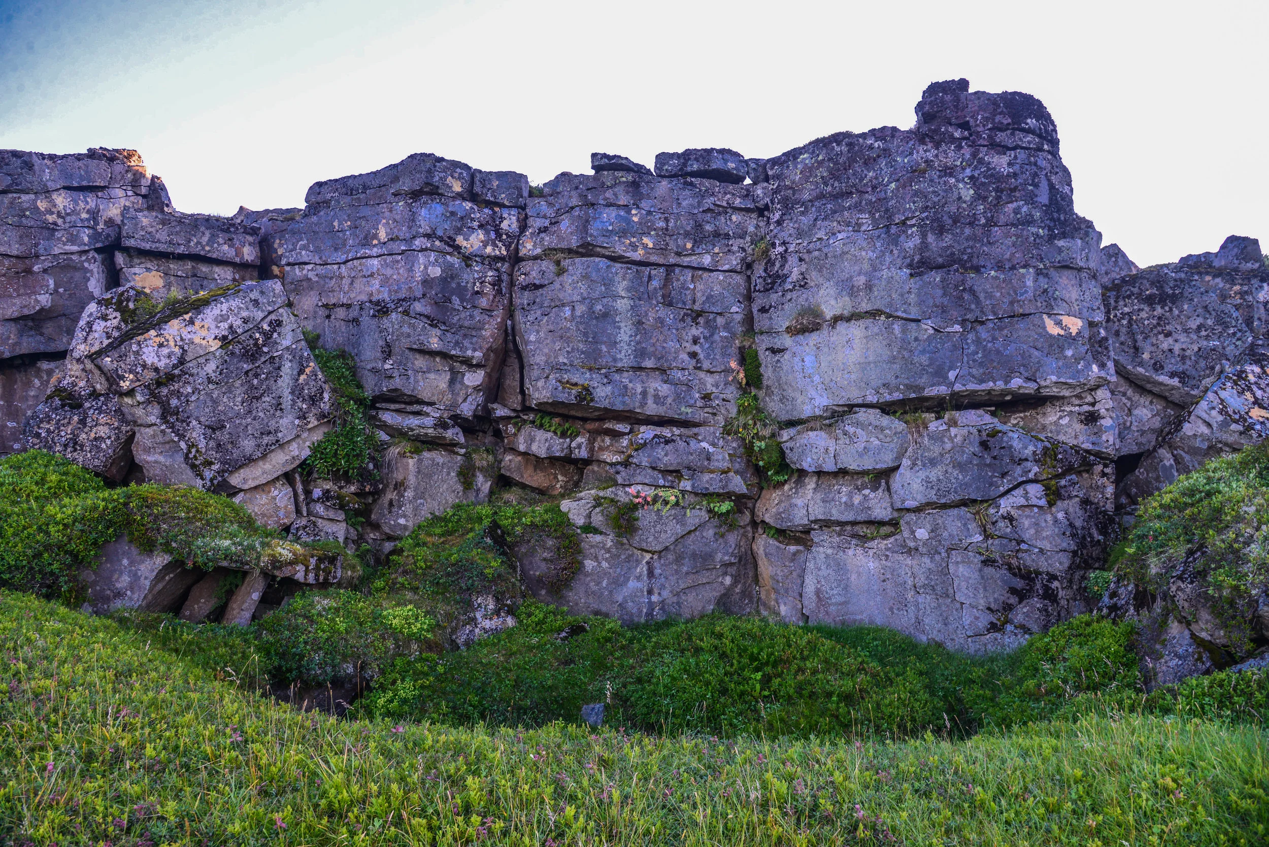 DSC_8034.jpg