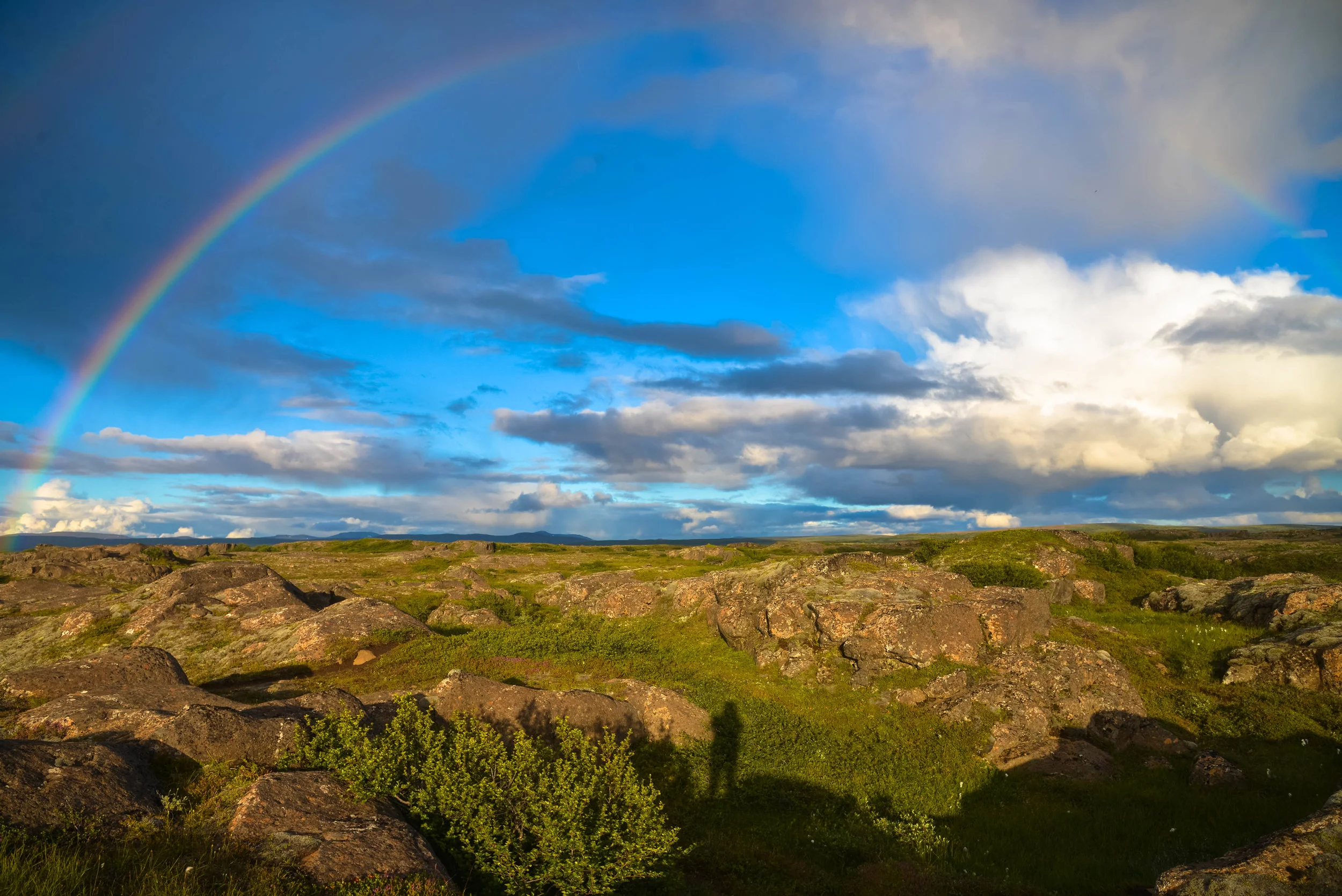 DSC_8163.jpg