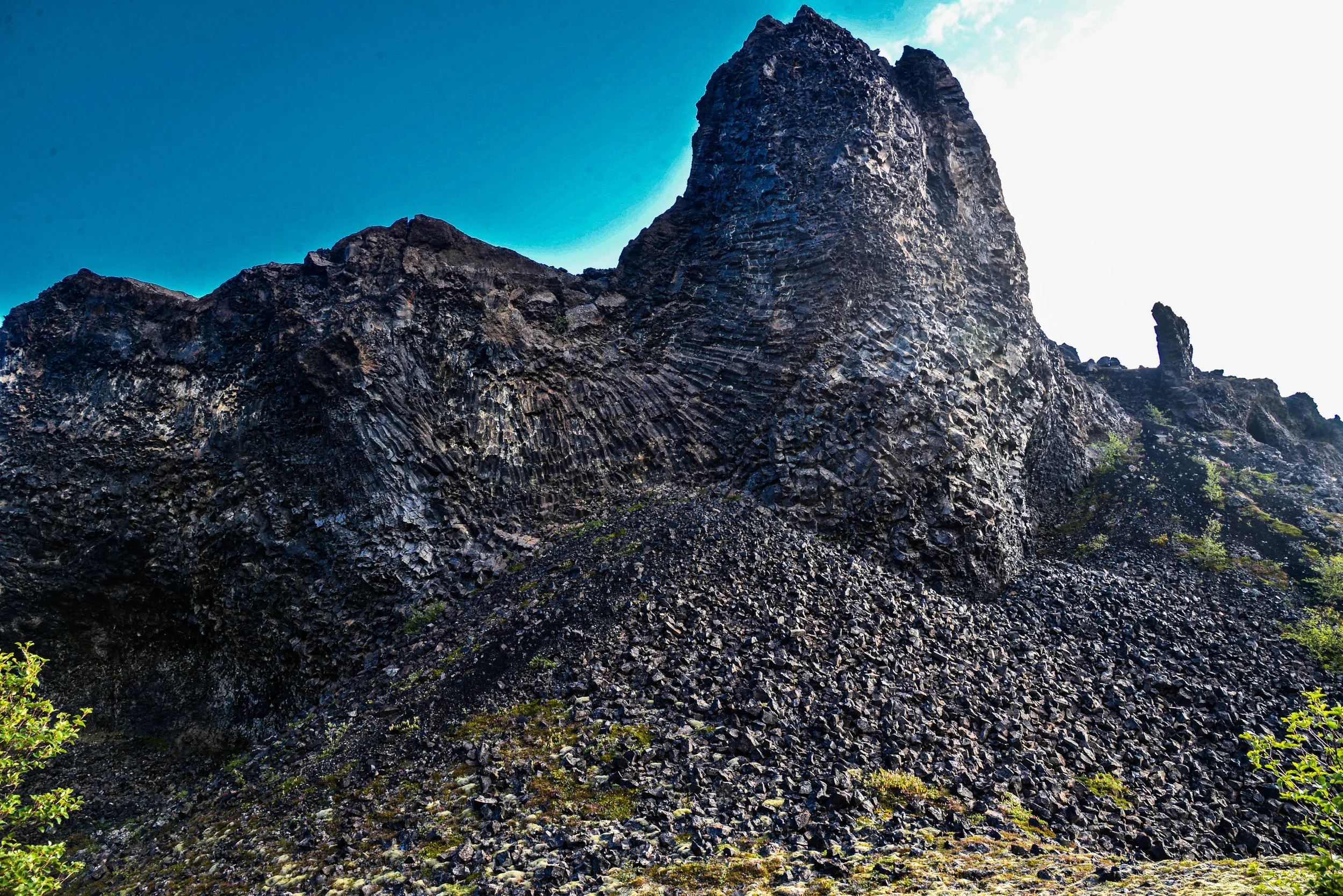 DSC_8204.jpg