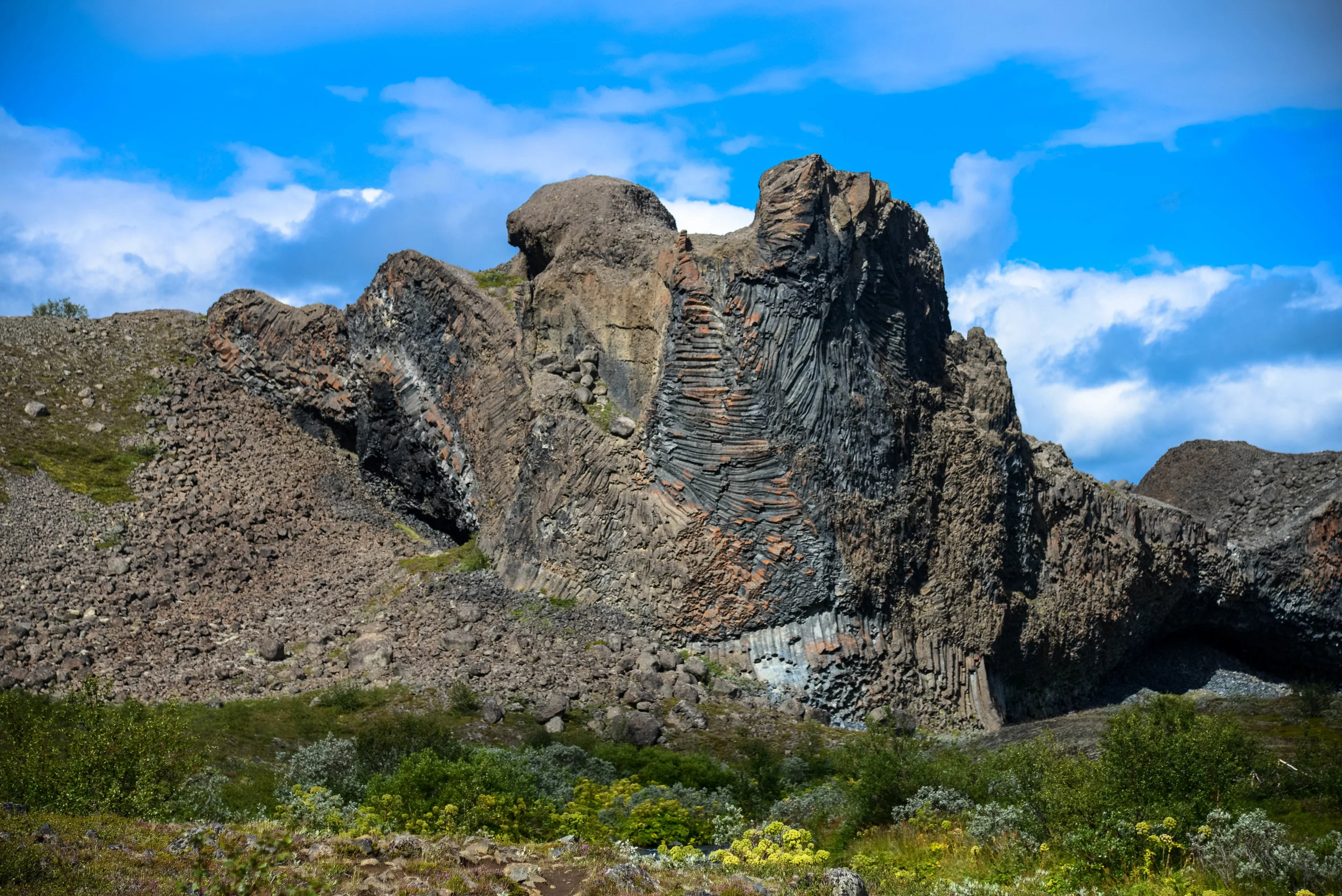 DSC_8249.jpg