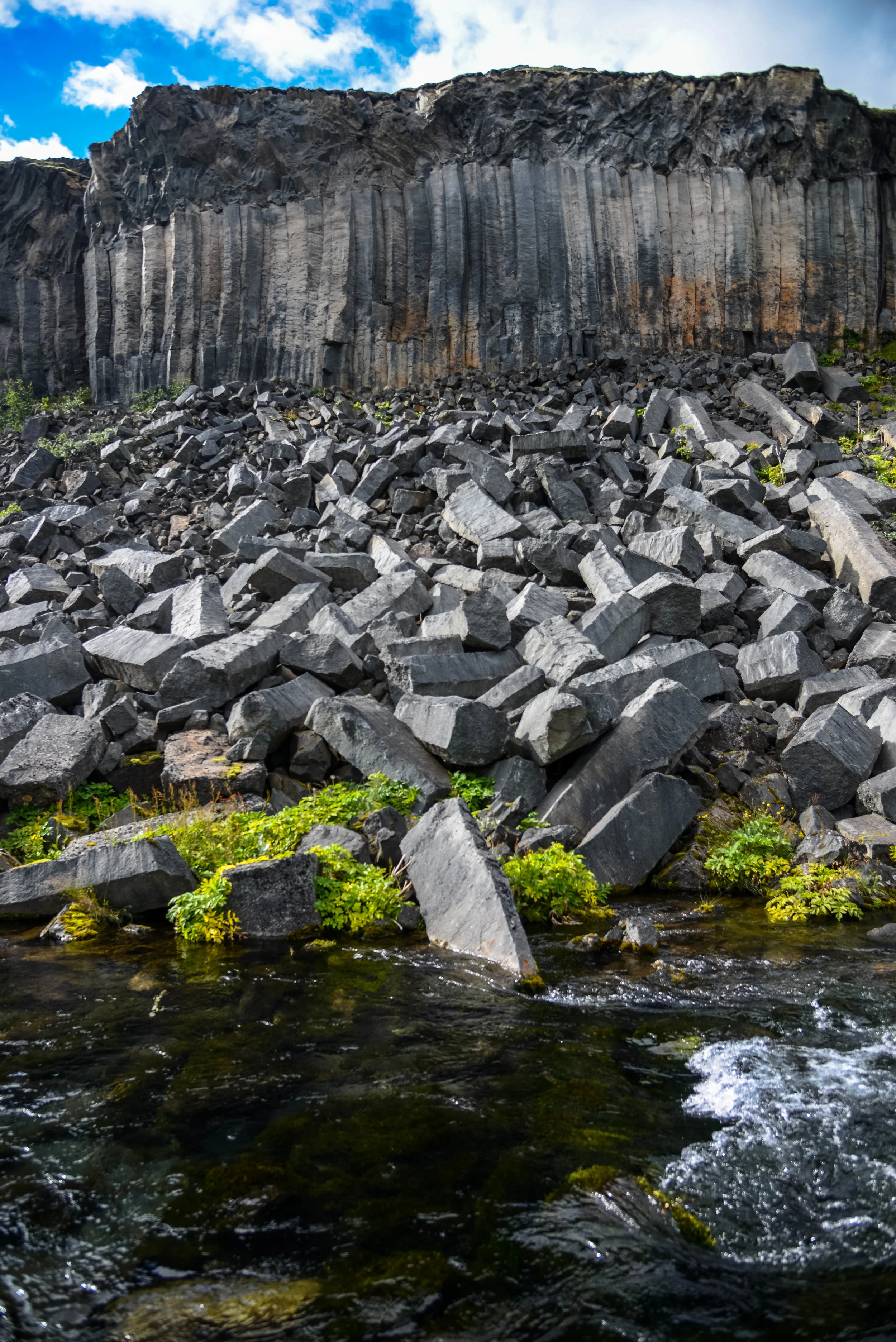 DSC_8254.jpg