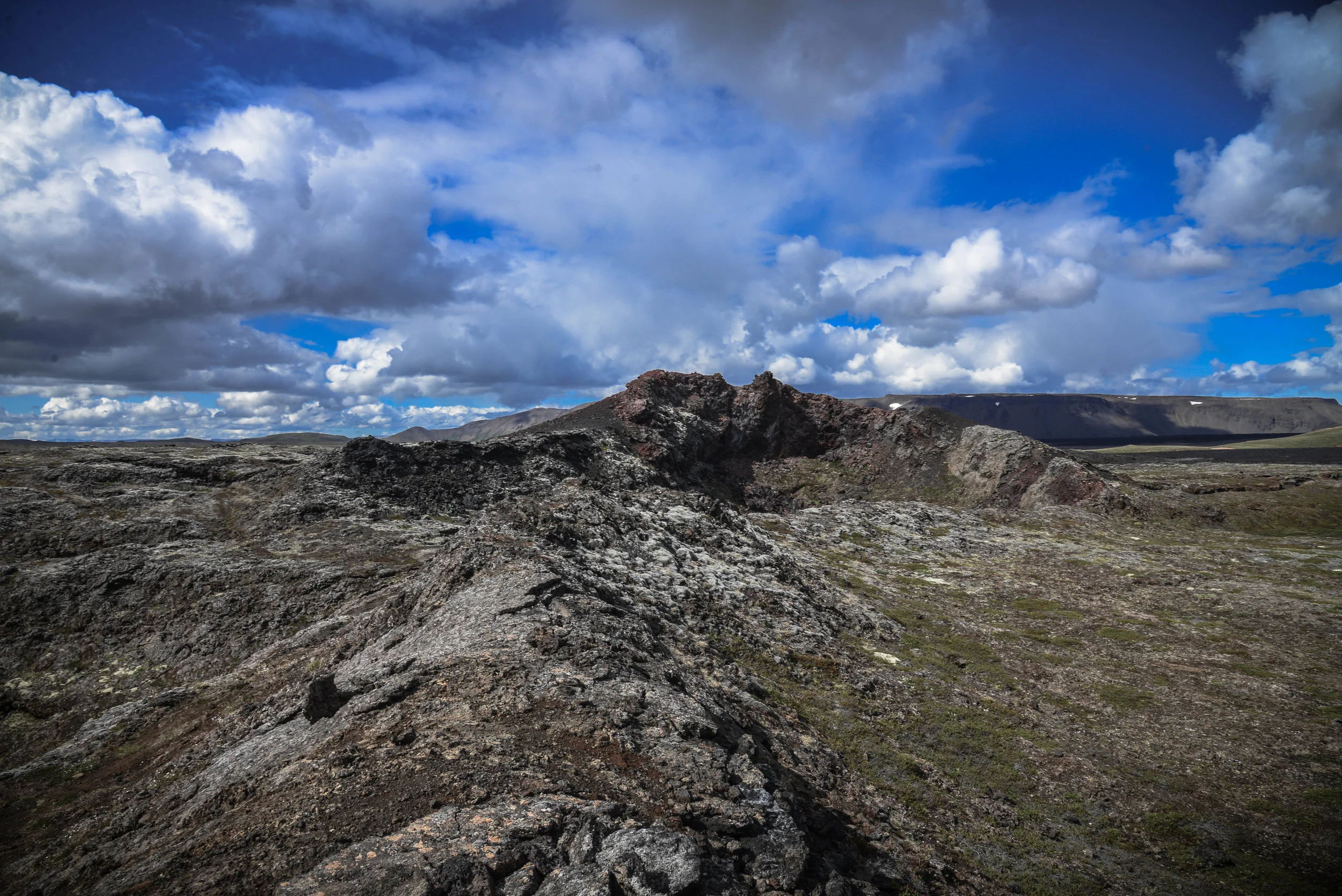 DSC_8391.jpg
