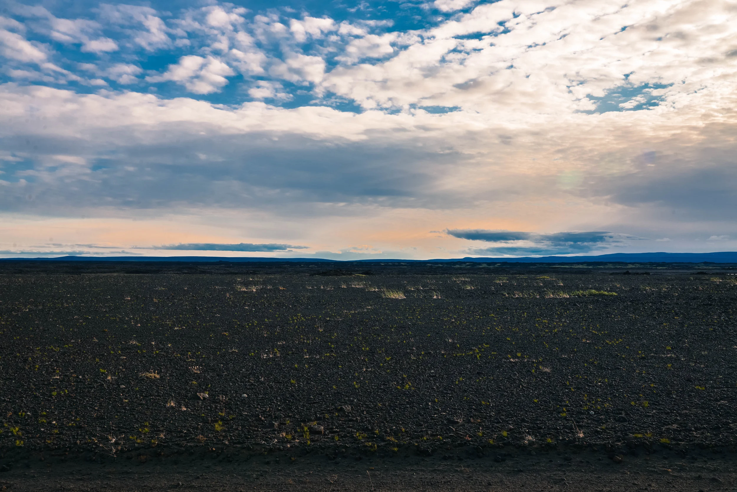 DSC_8444.jpg
