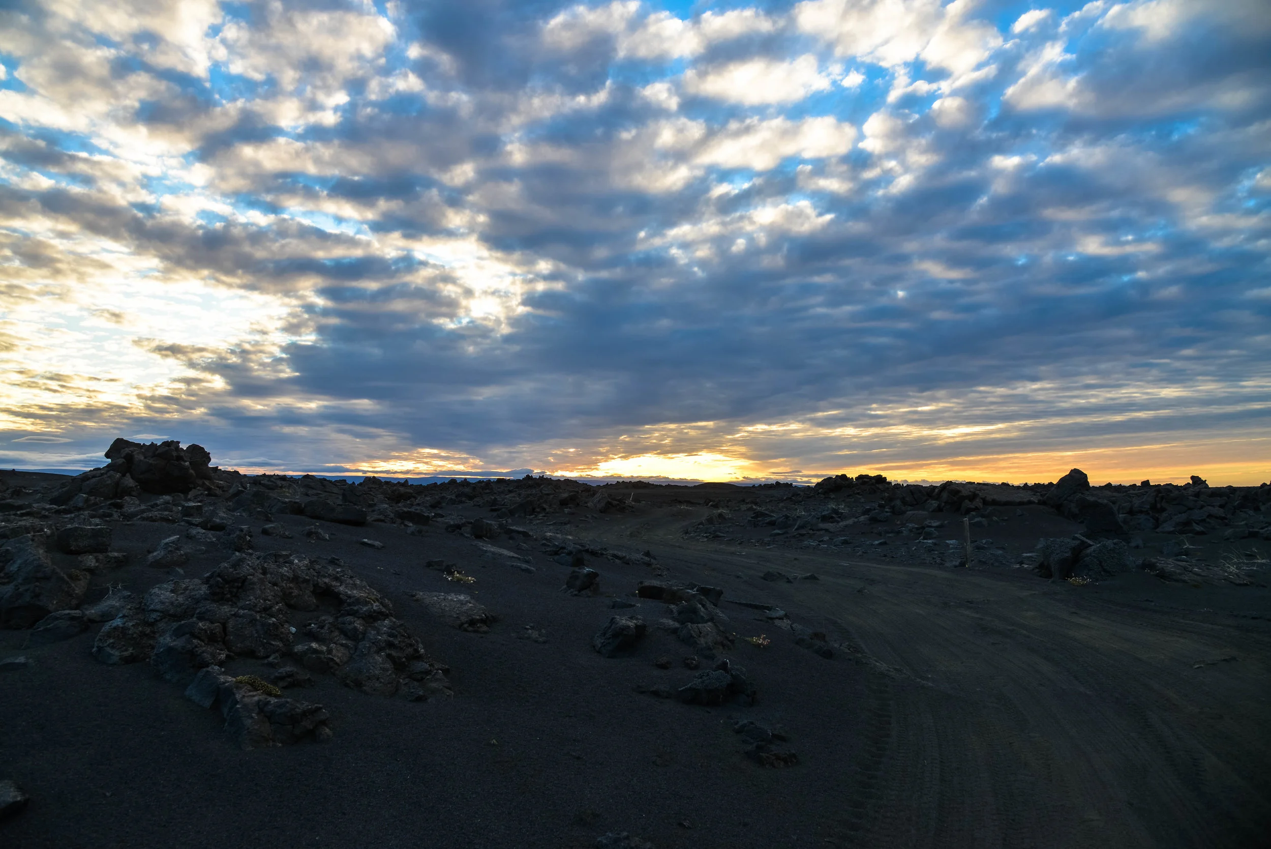 DSC_8454.jpg
