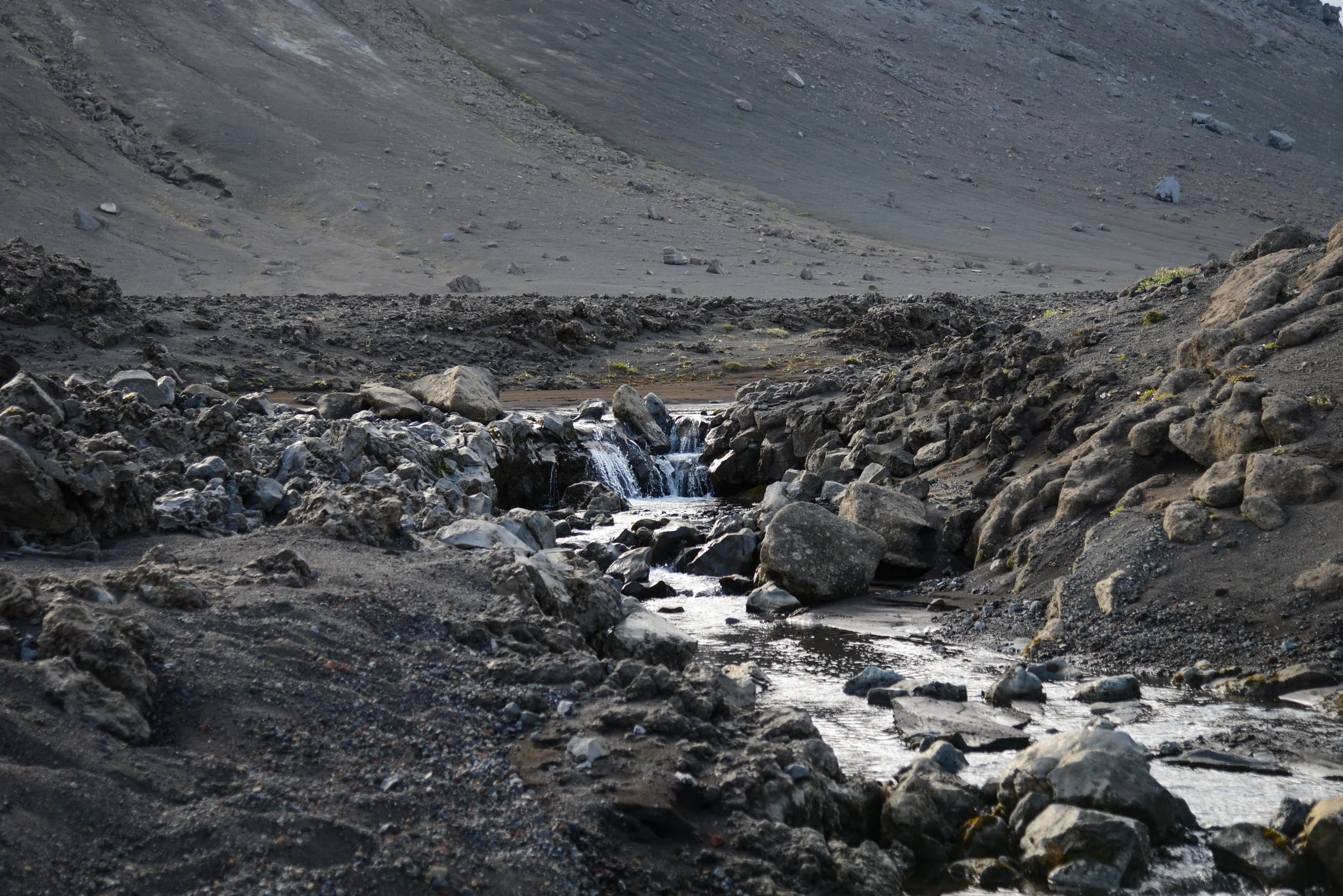 DSC_8482.jpg