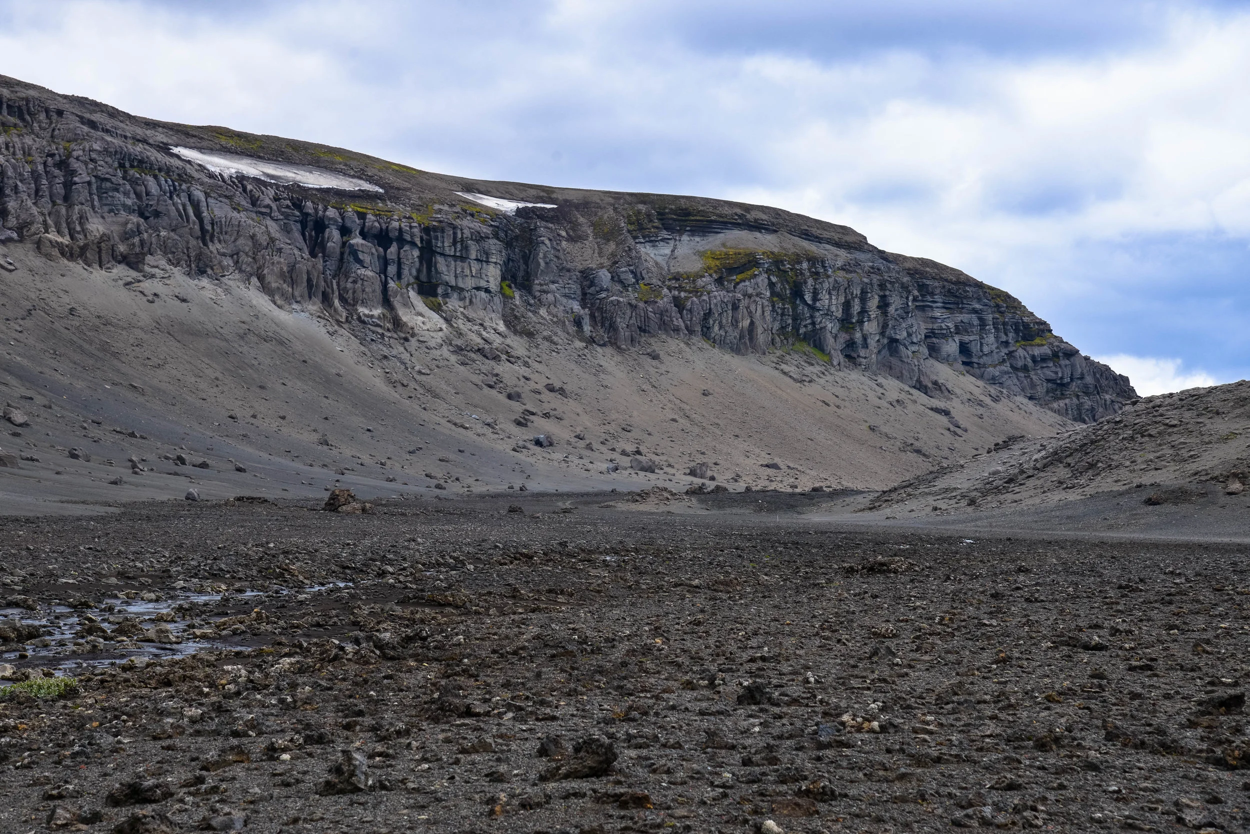DSC_8484.jpg
