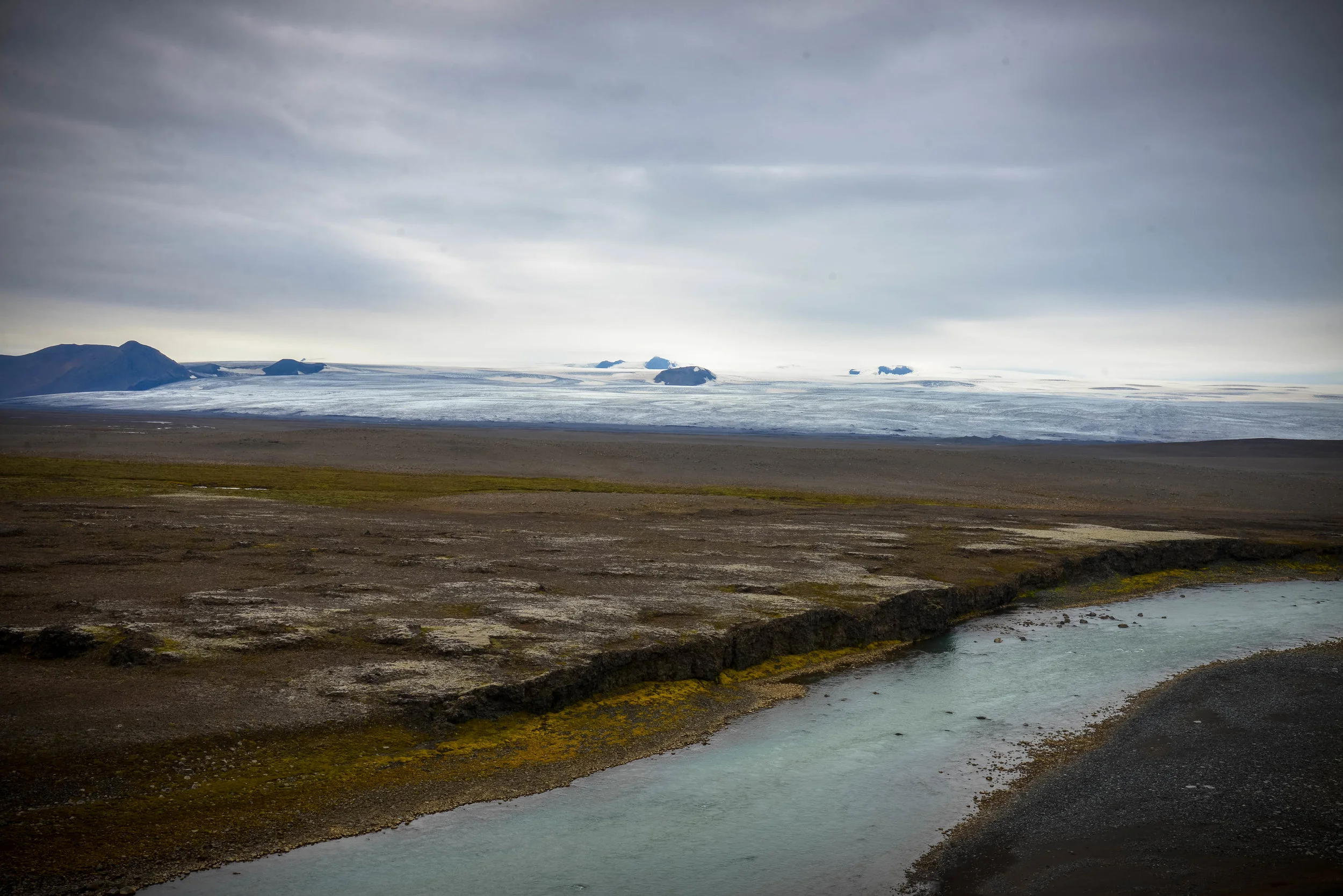DSC_8555.jpg