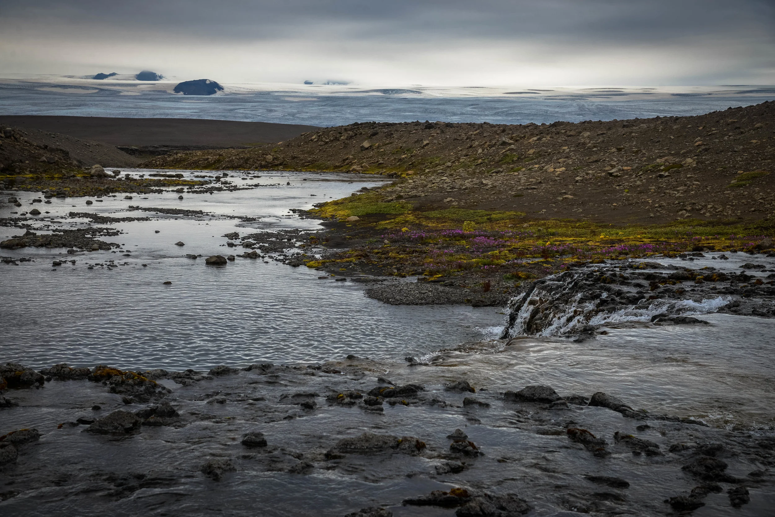 DSC_8575.jpg