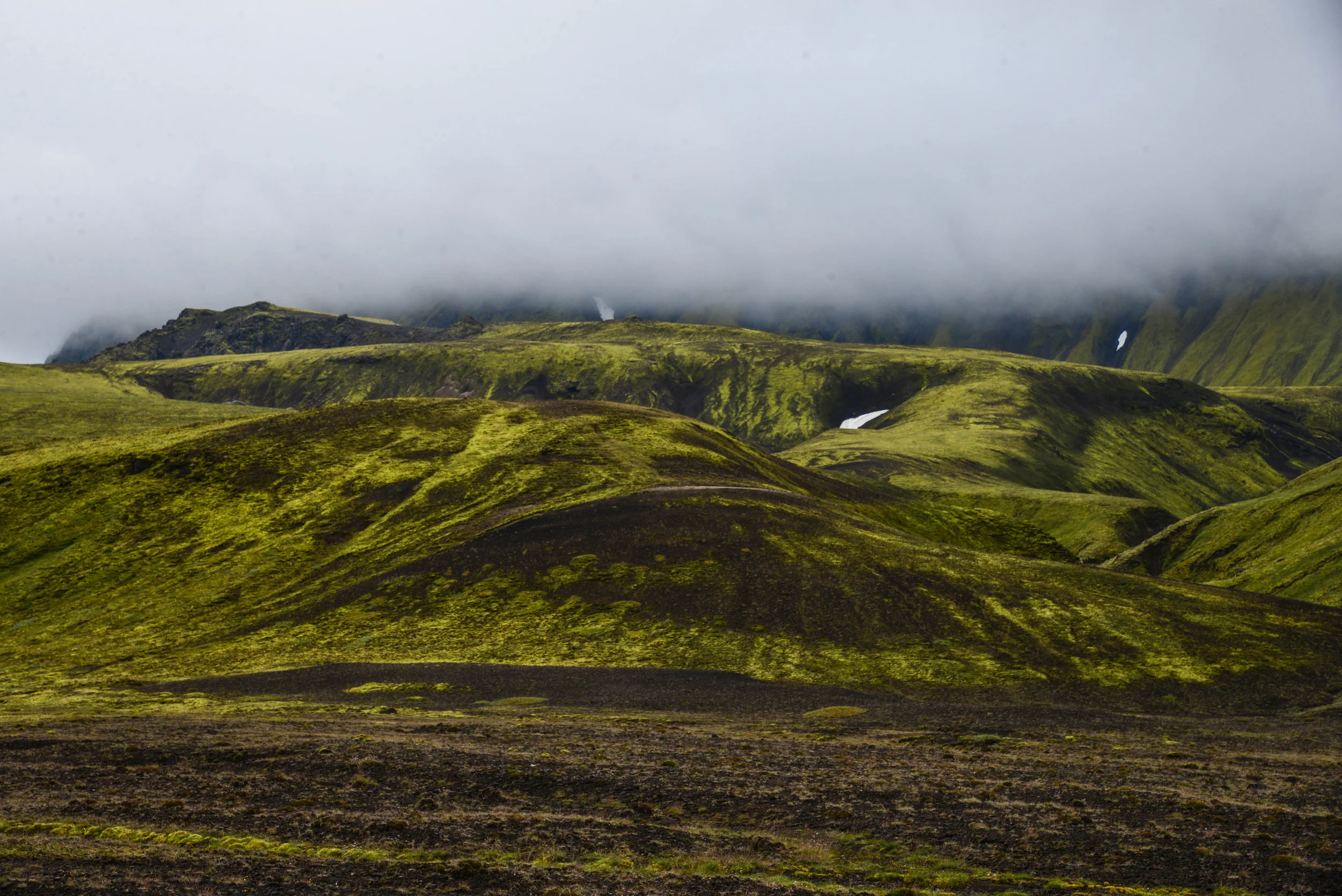 DSC_8694.jpg