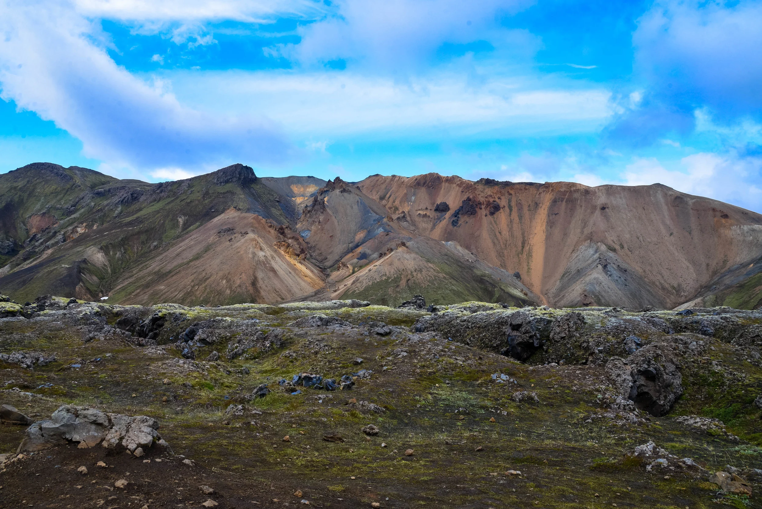 DSC_8716.jpg