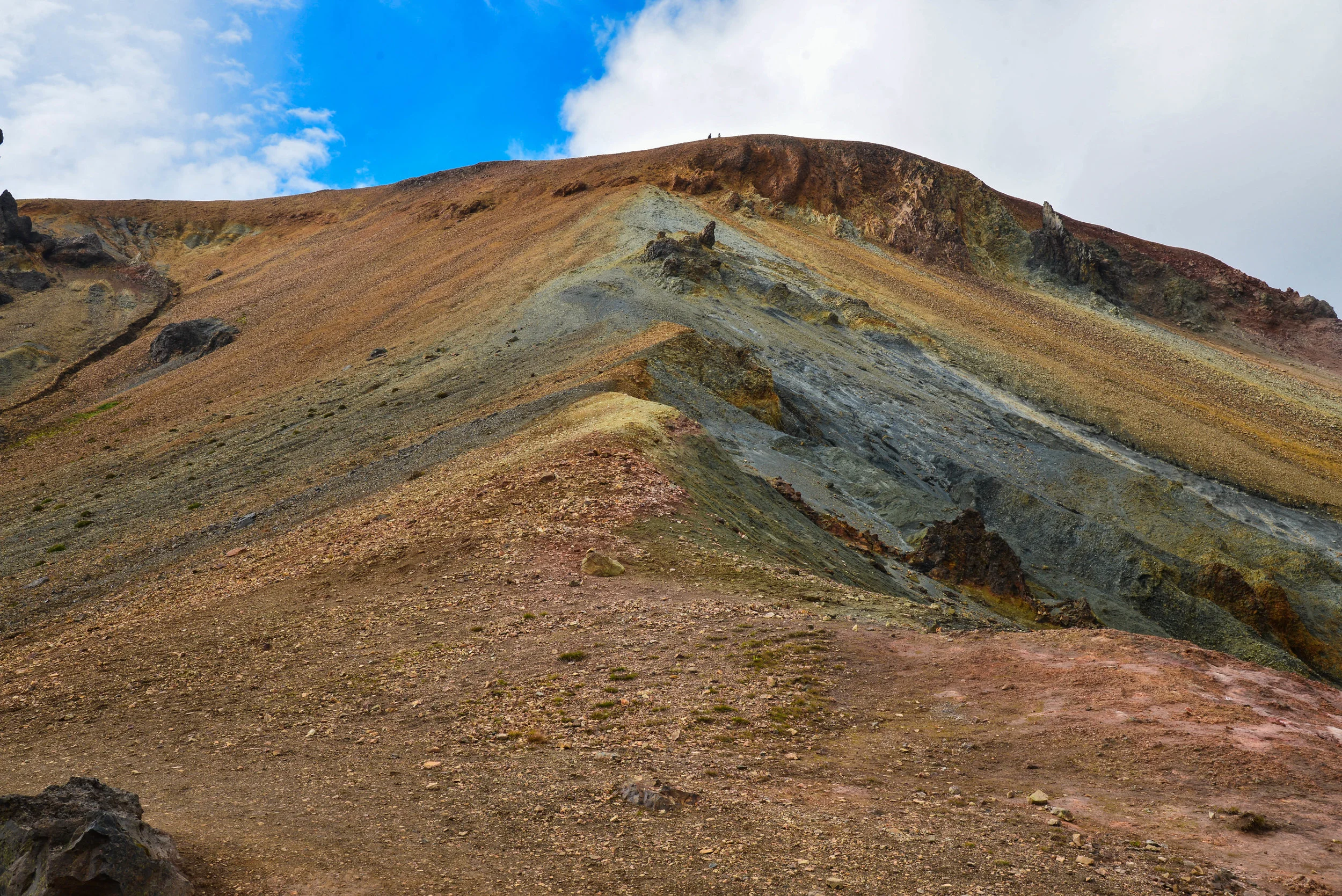 DSC_8737.jpg