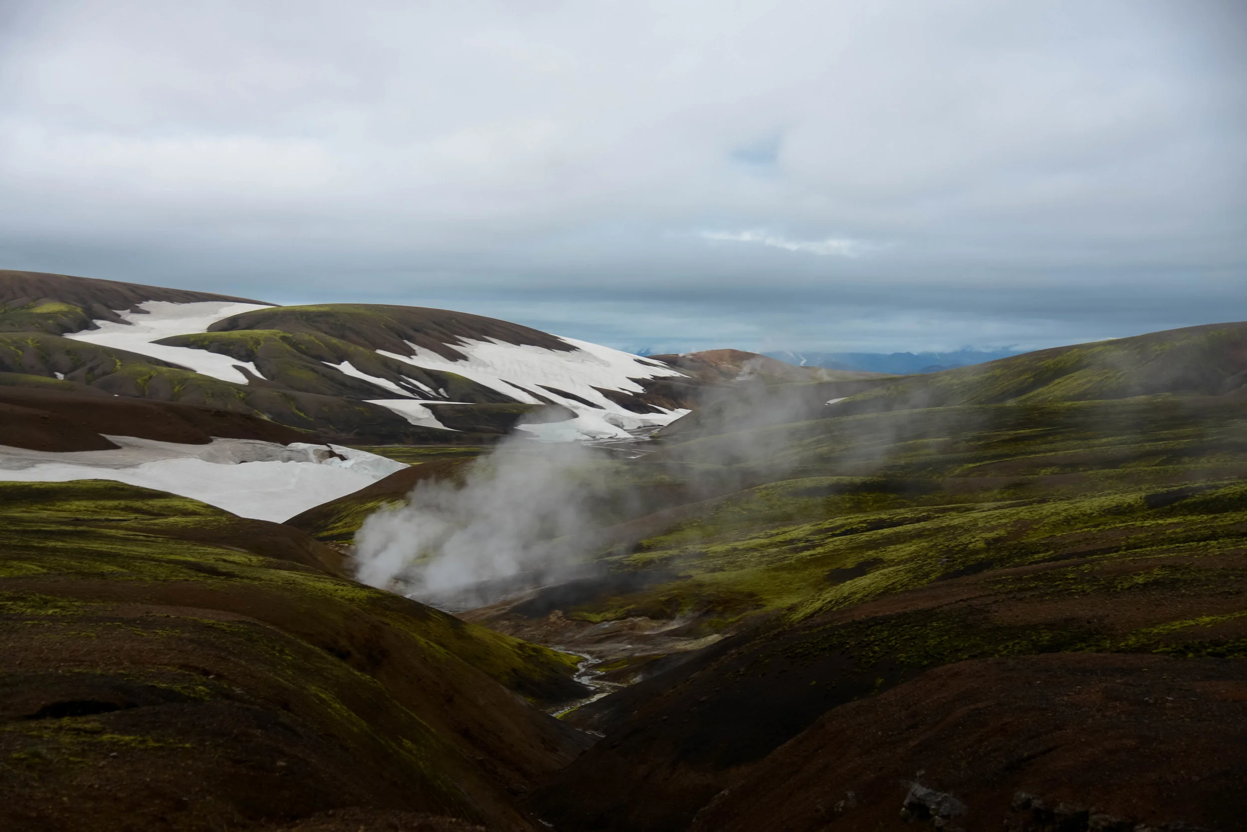 DSC_8777.jpg