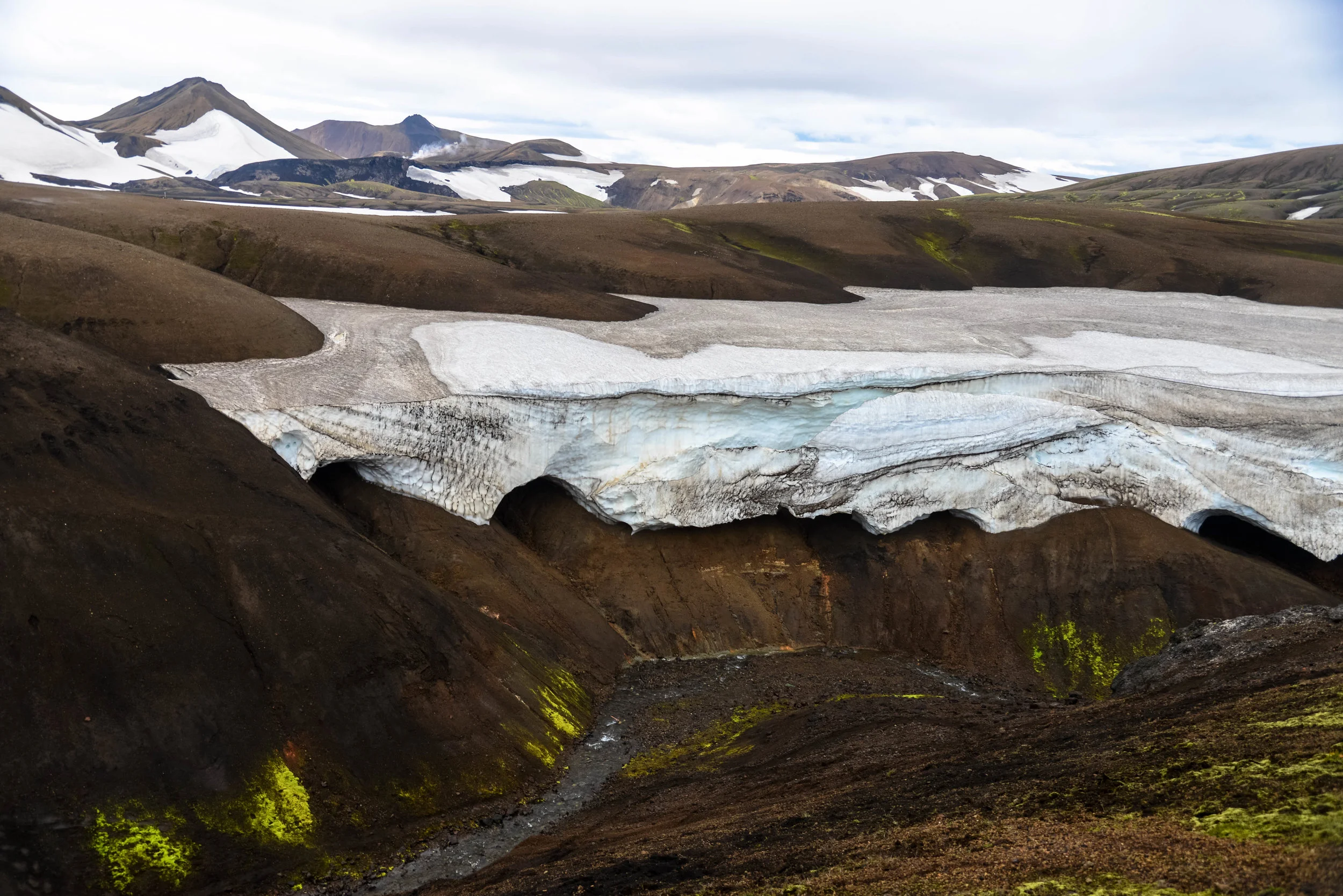 DSC_8779.jpg
