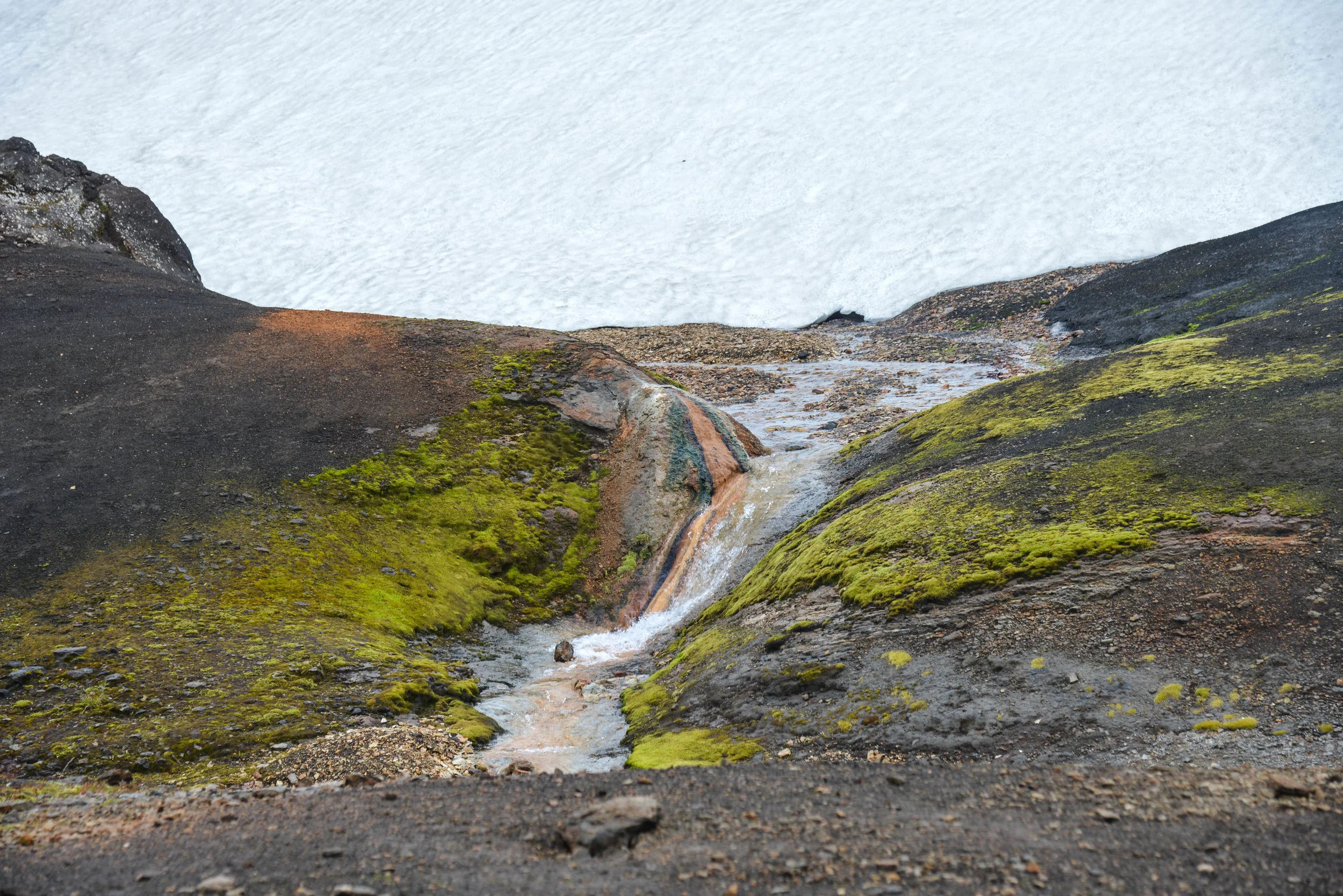 DSC_8802.jpg
