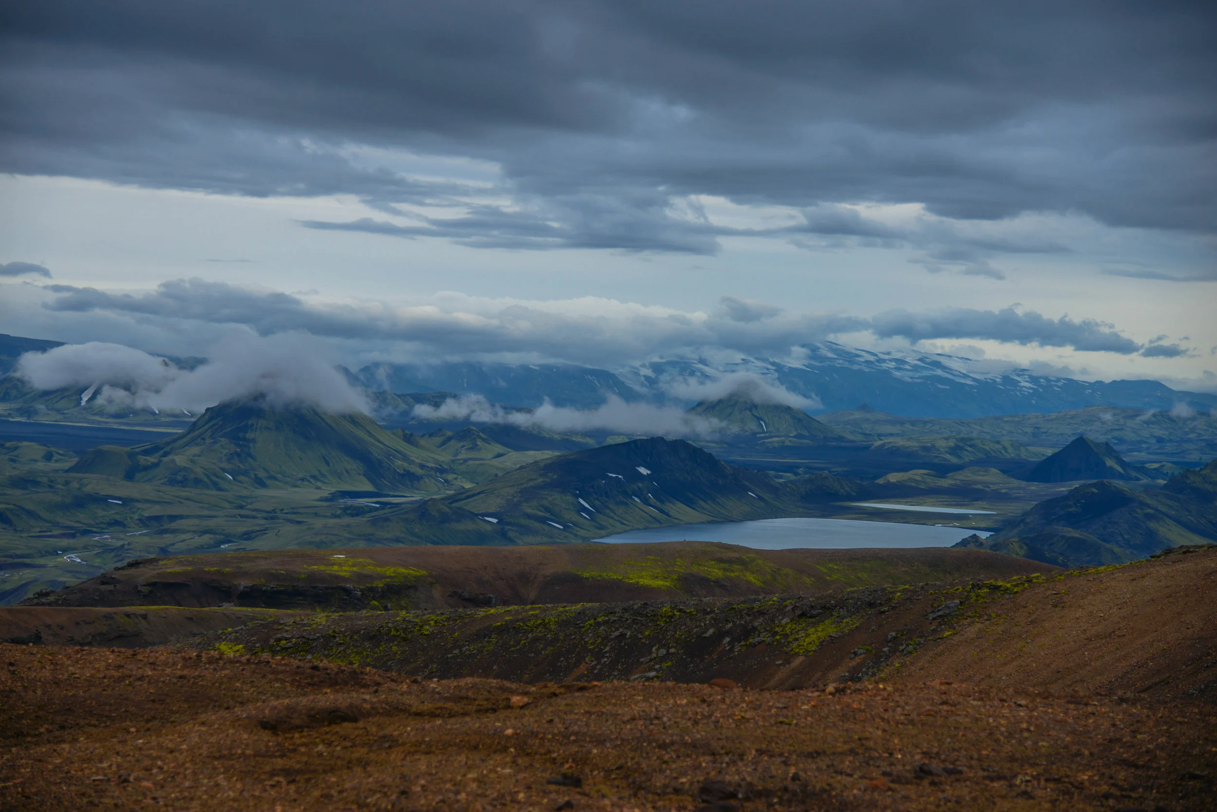 DSC_8810.jpg