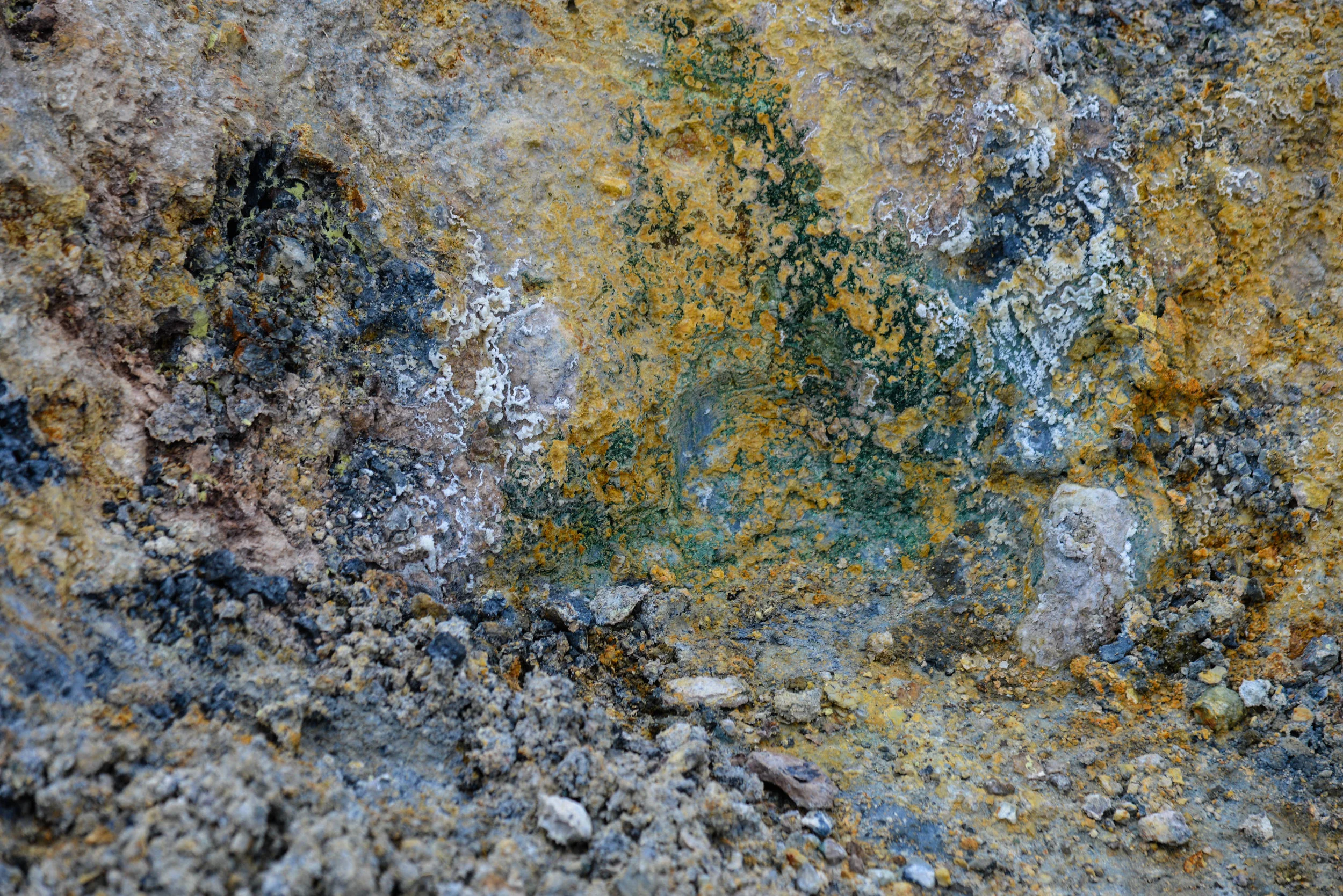 DSC_8817.jpg