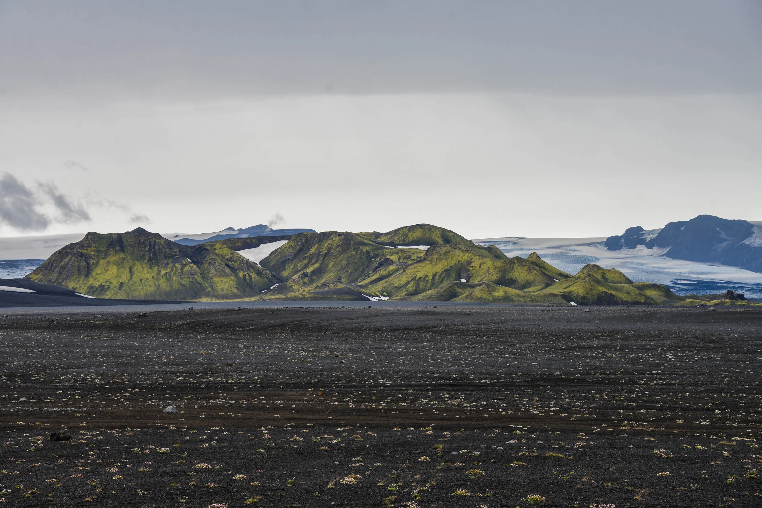 DSC_8841.jpg