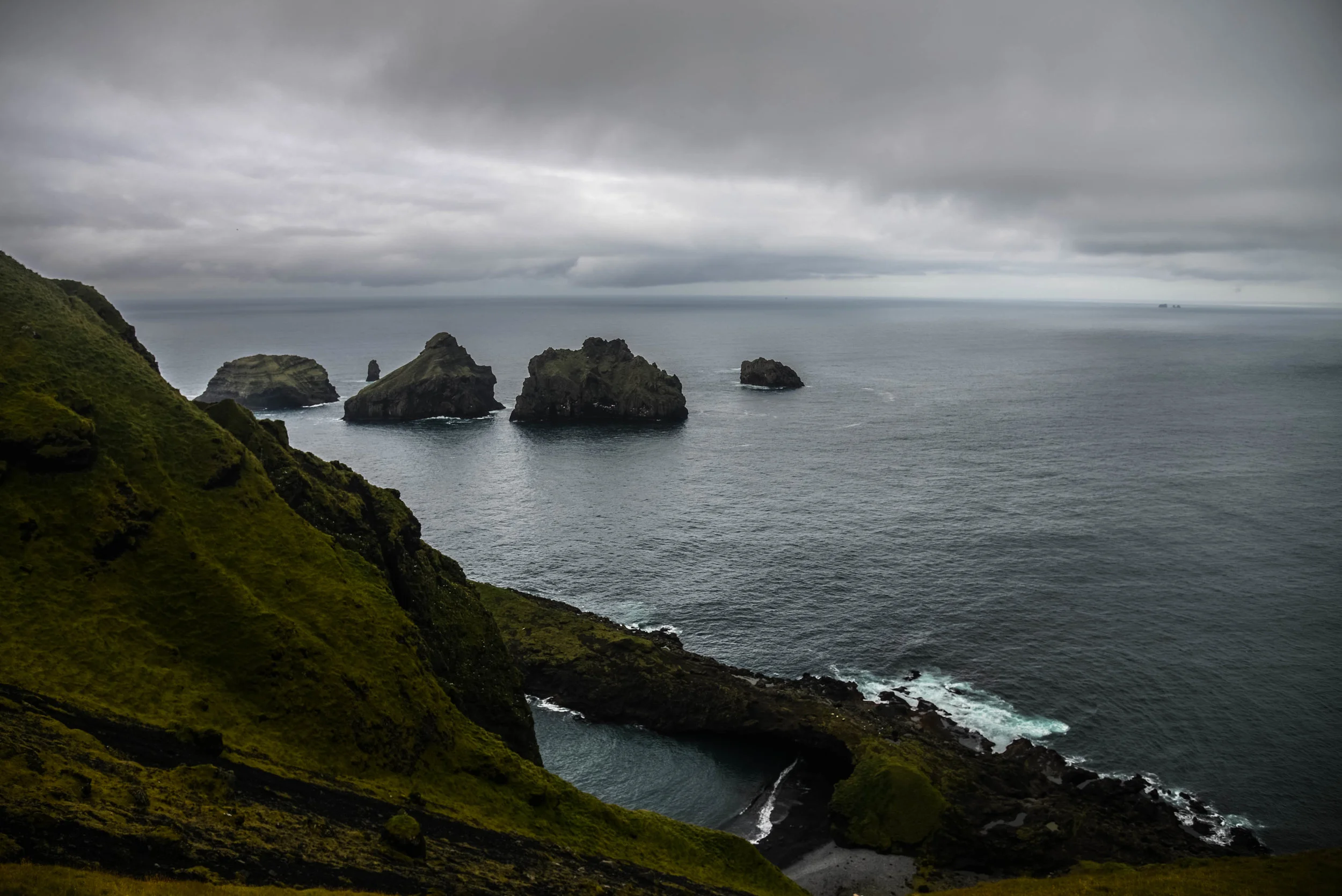 DSC_8995.jpg