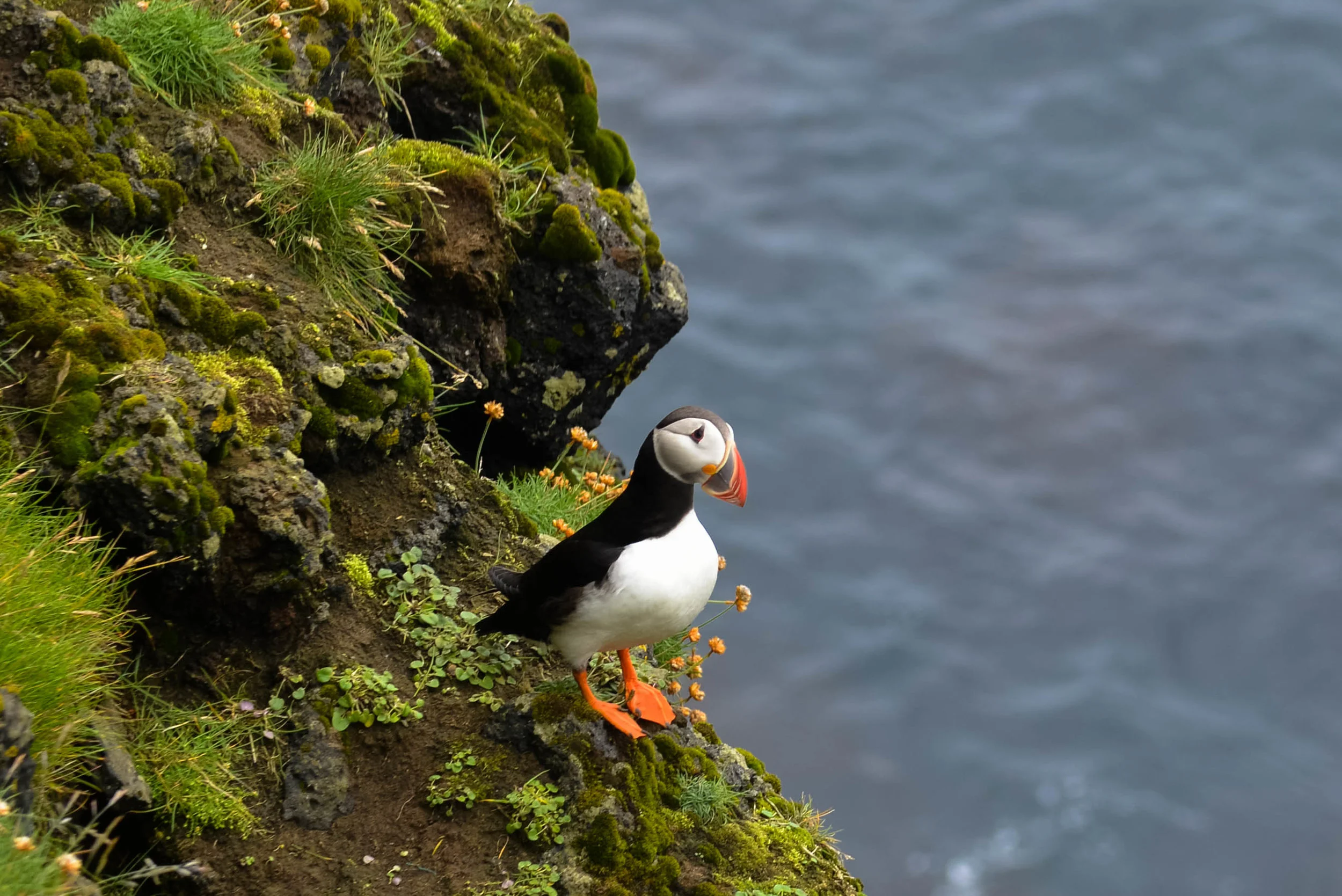 DSC_9086.jpg