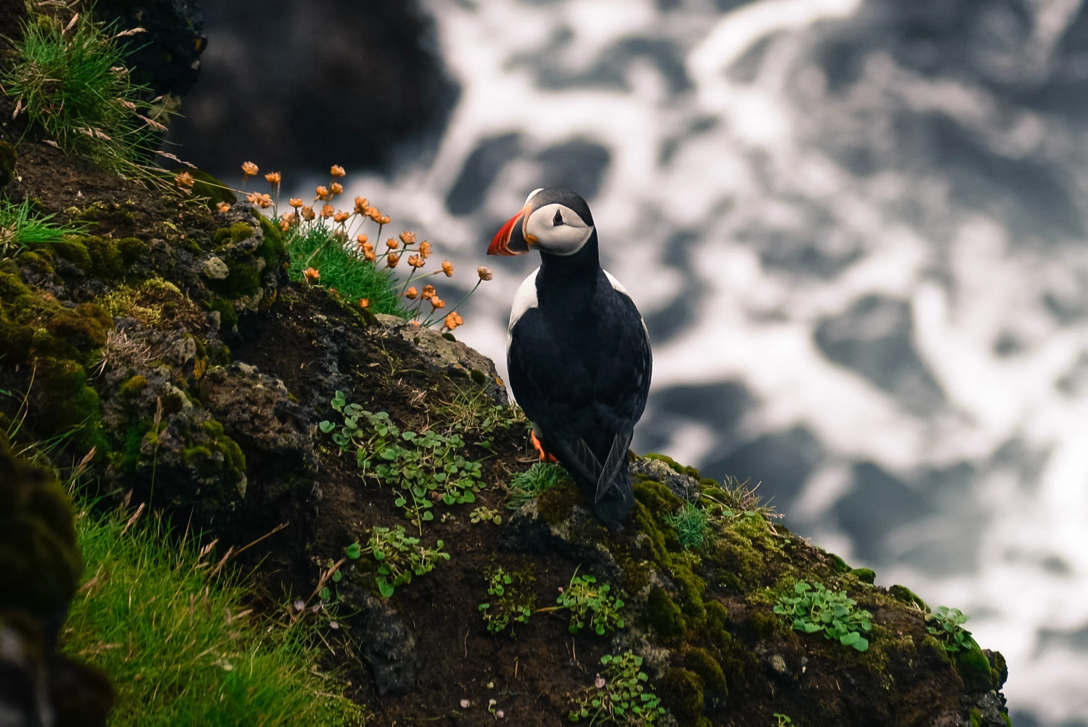 DSC_9109-2.jpg