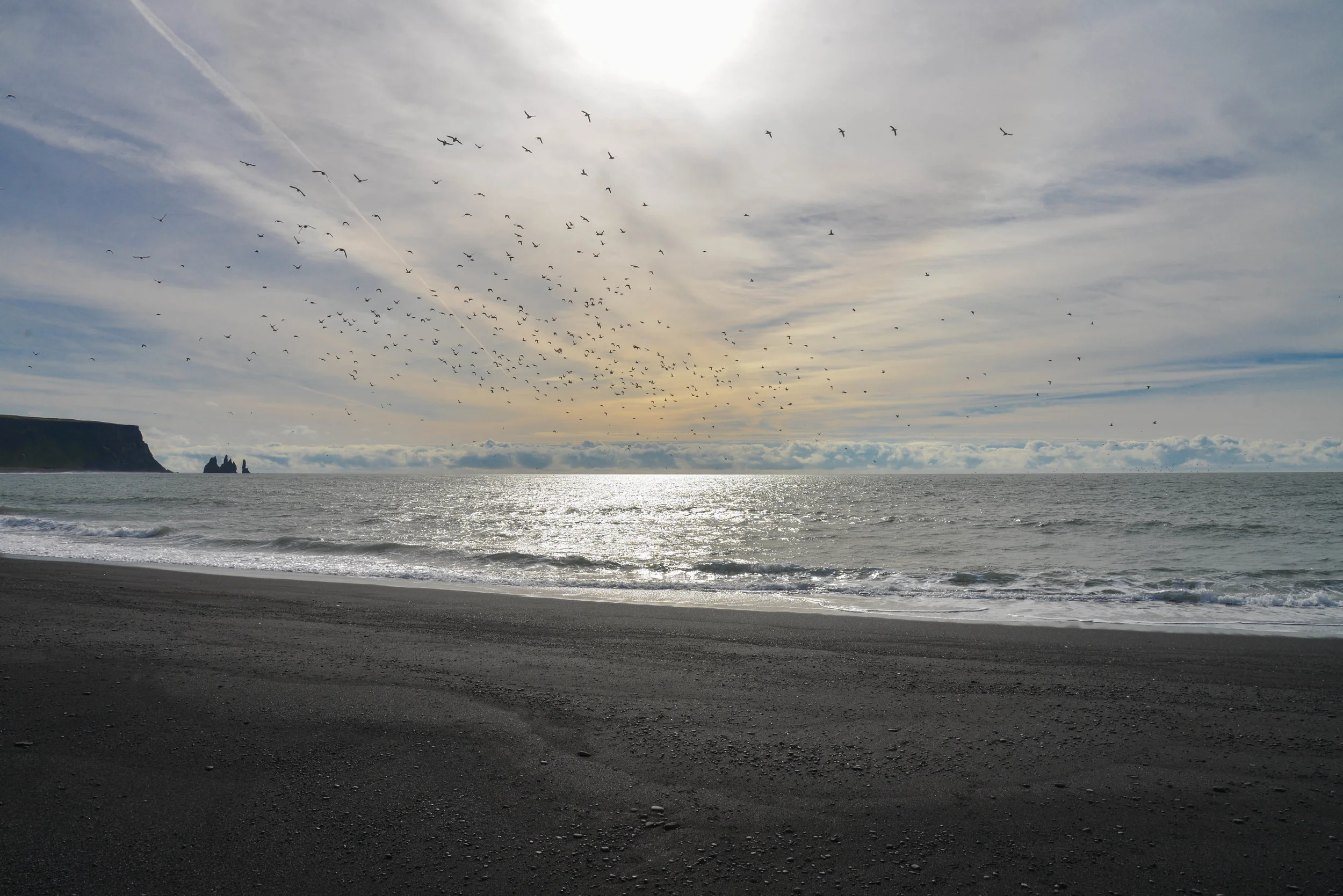 DSC_9219.jpg