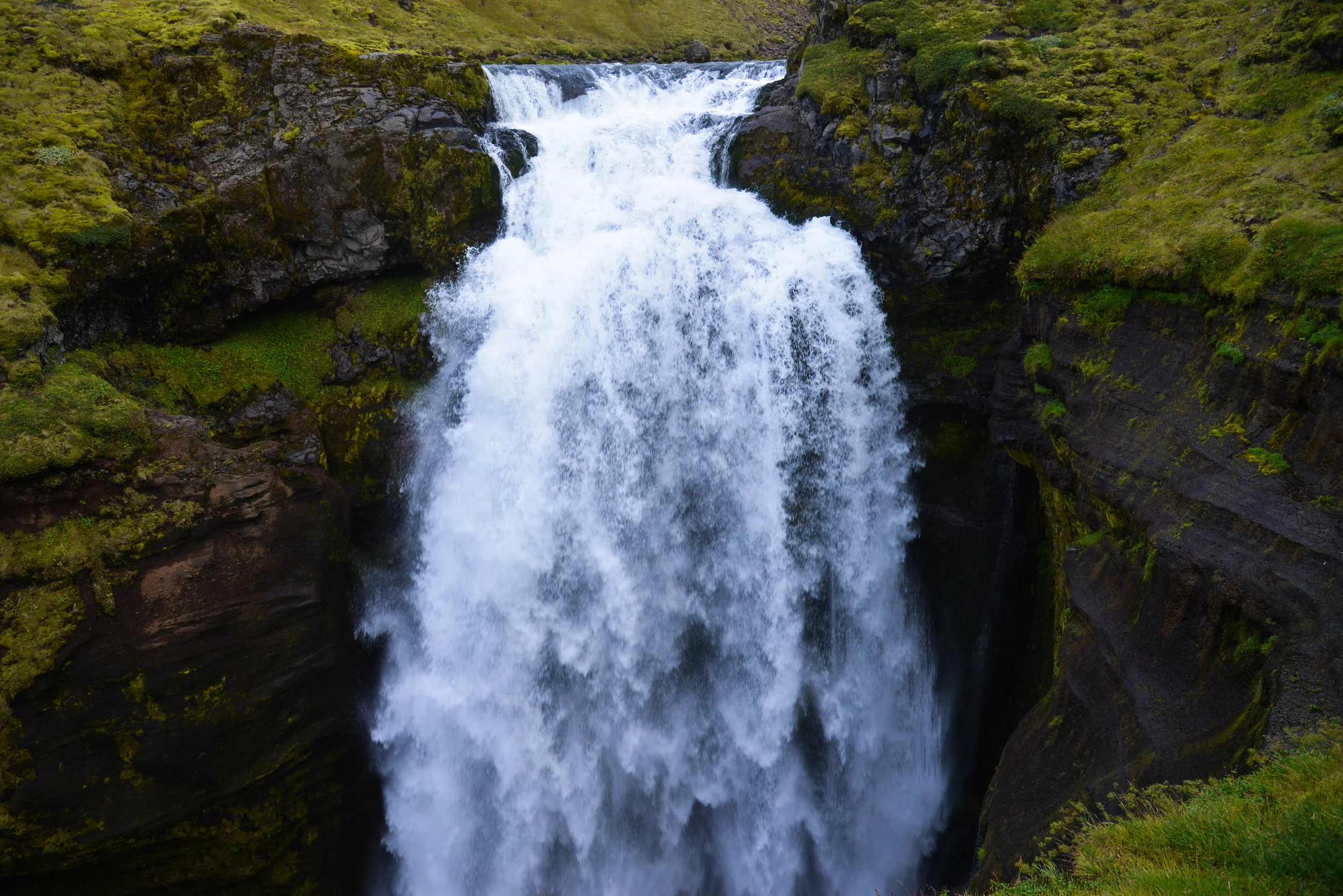 DSC_9323.jpg