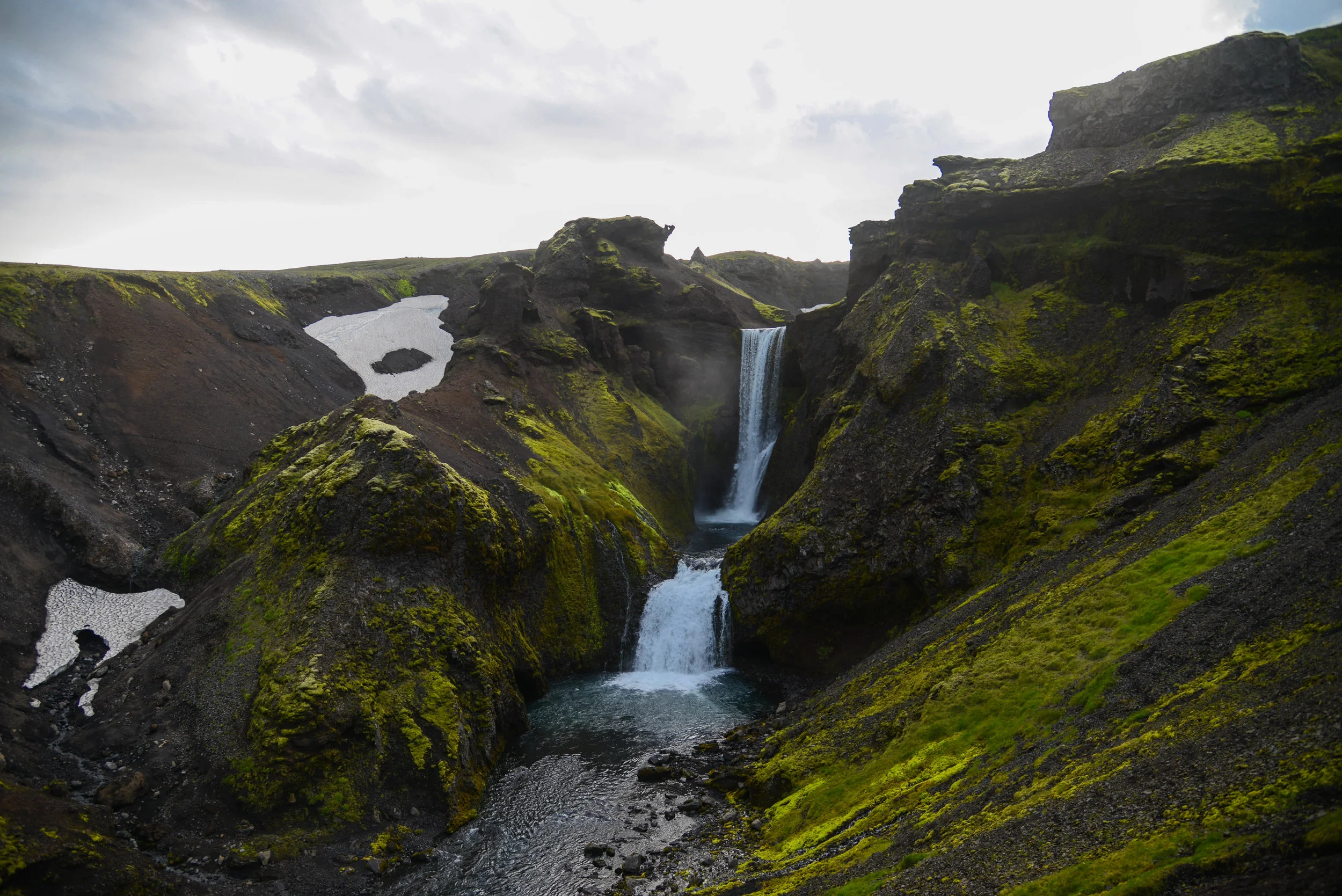 DSC_9330.jpg