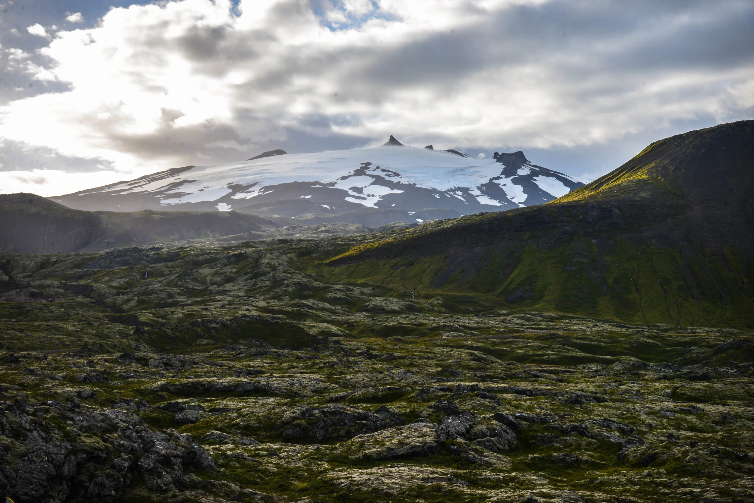 DSC_9513.jpg