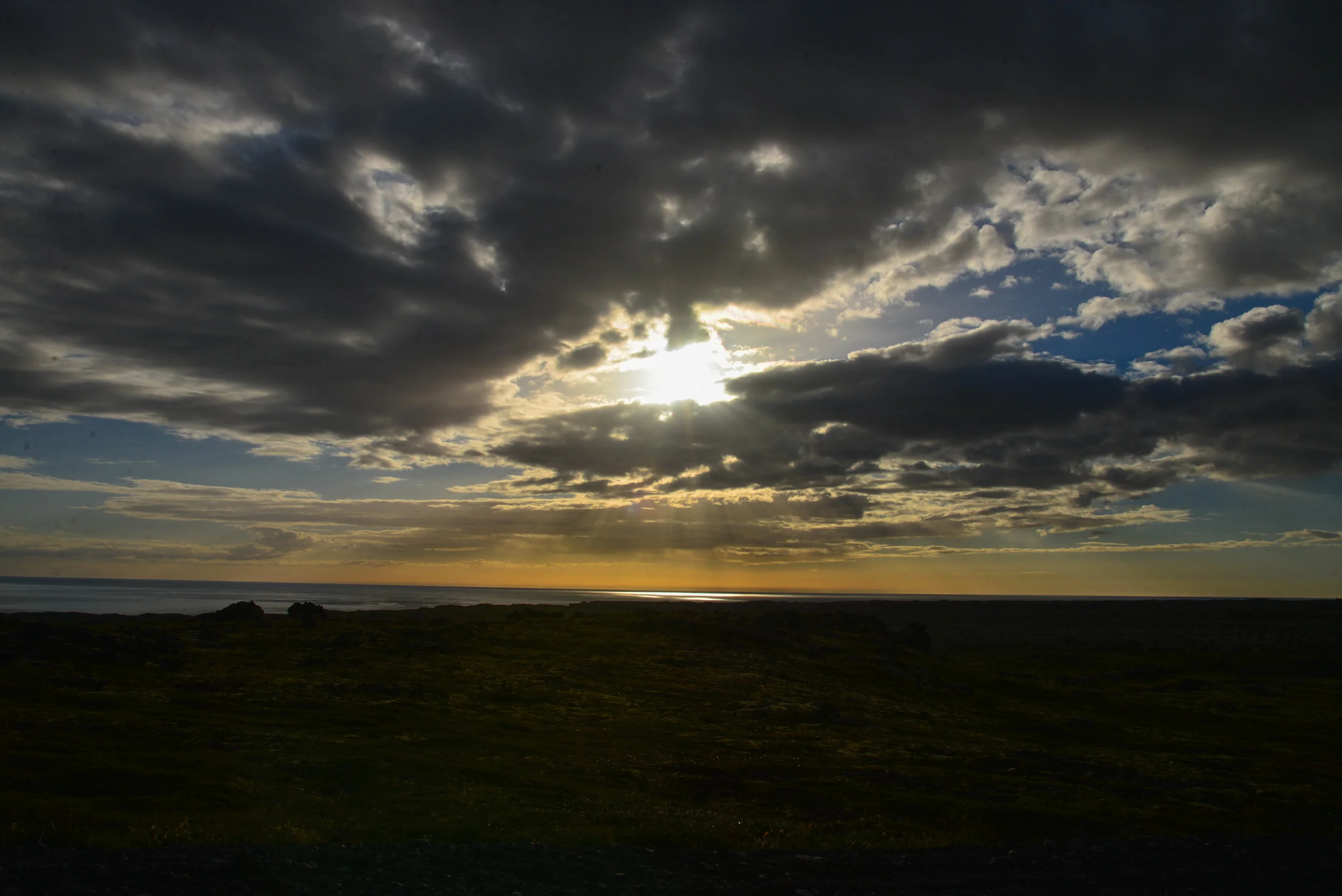 DSC_9525.jpg