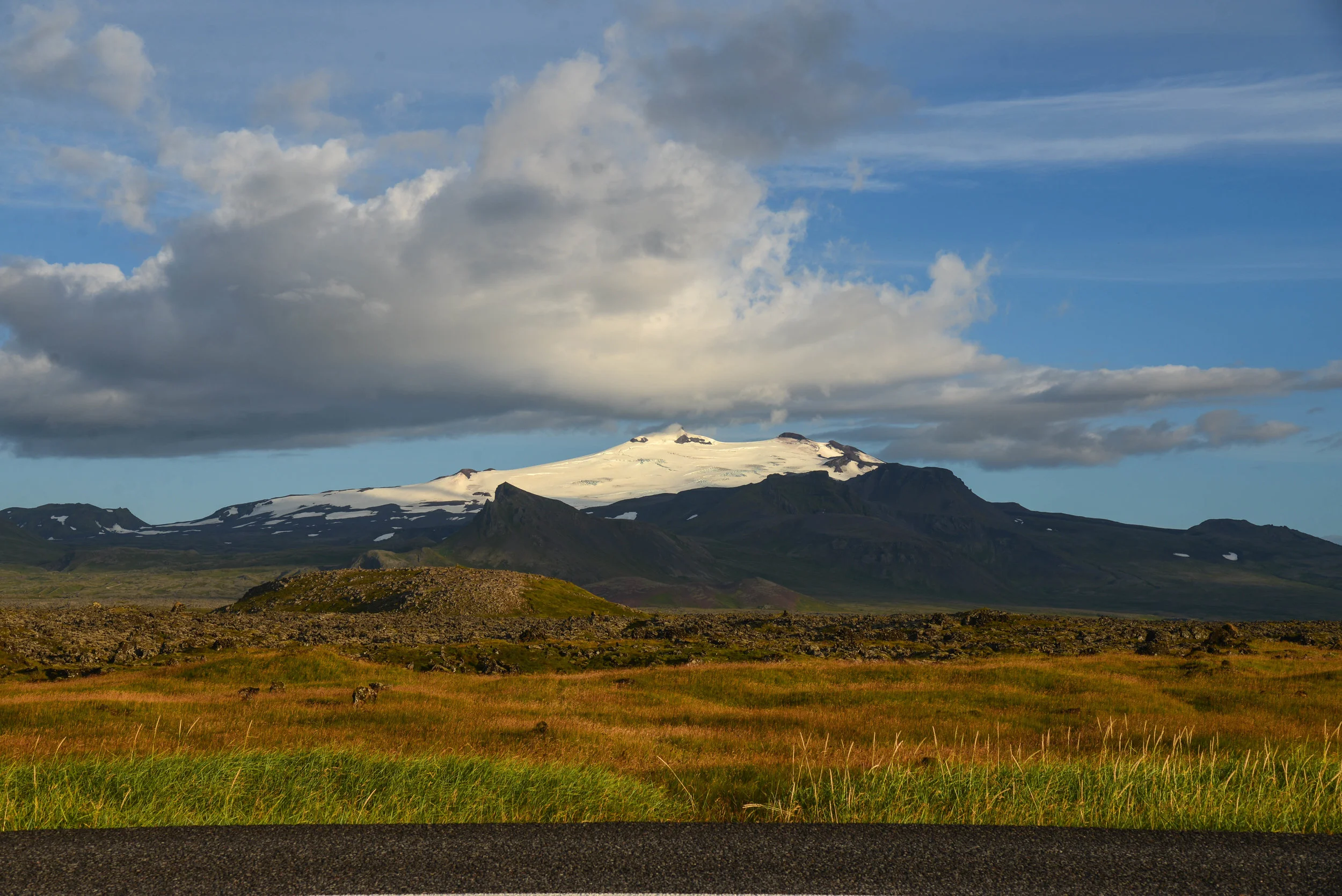 DSC_9534.jpg