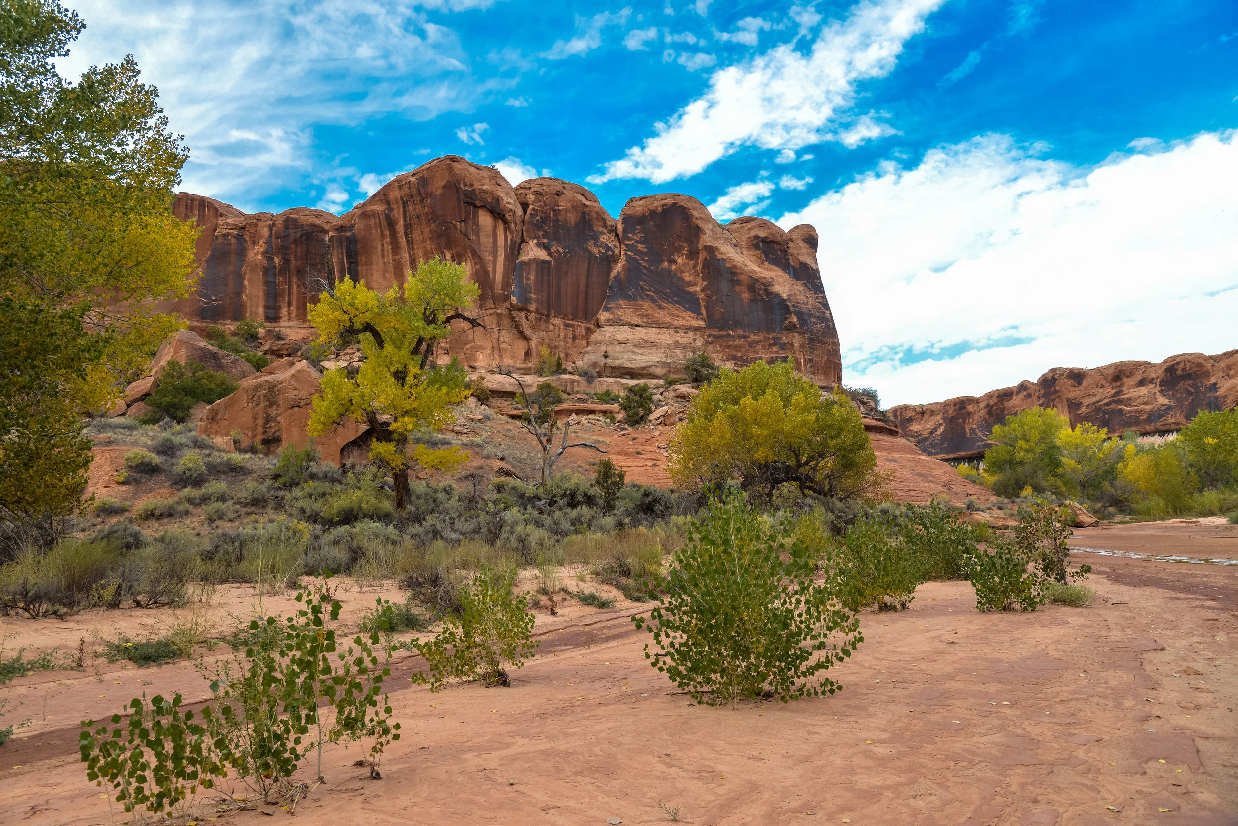 untitled-20.jpg