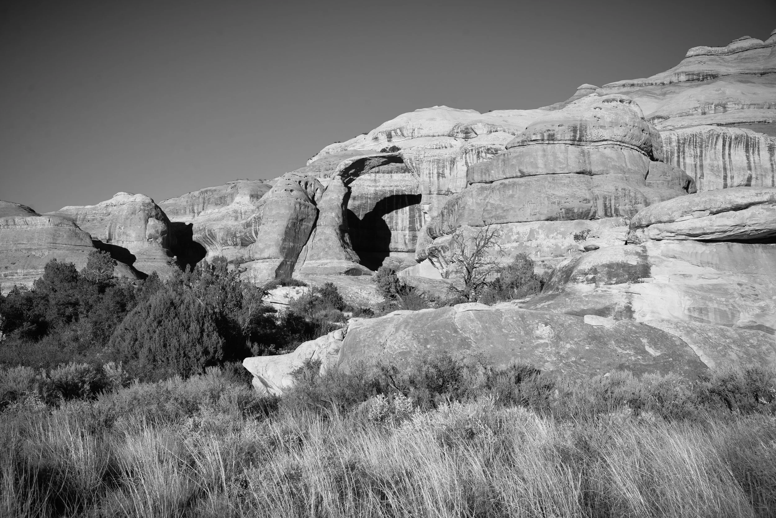untitled-116.jpg