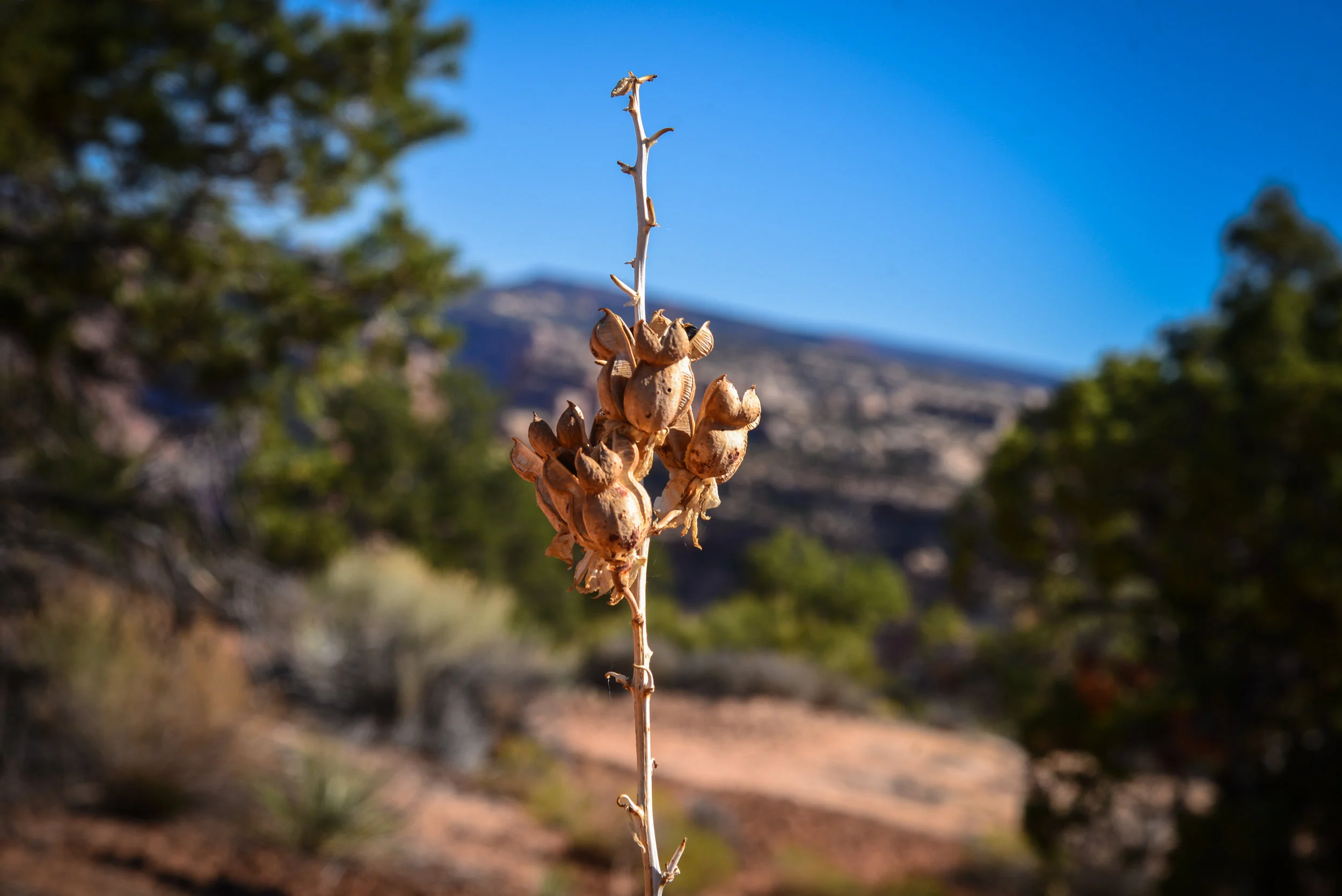 untitled-168.jpg