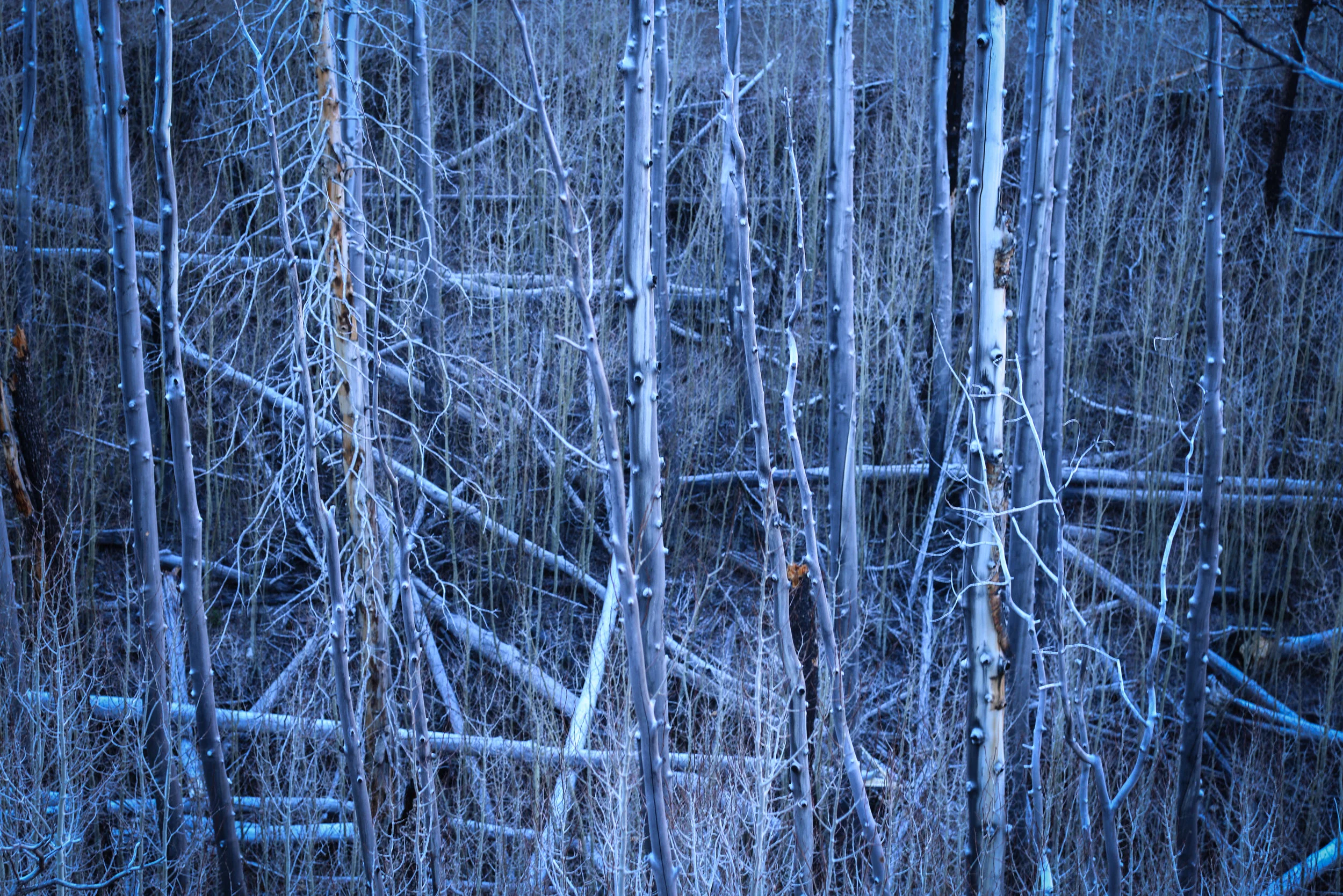 untitled-206.jpg