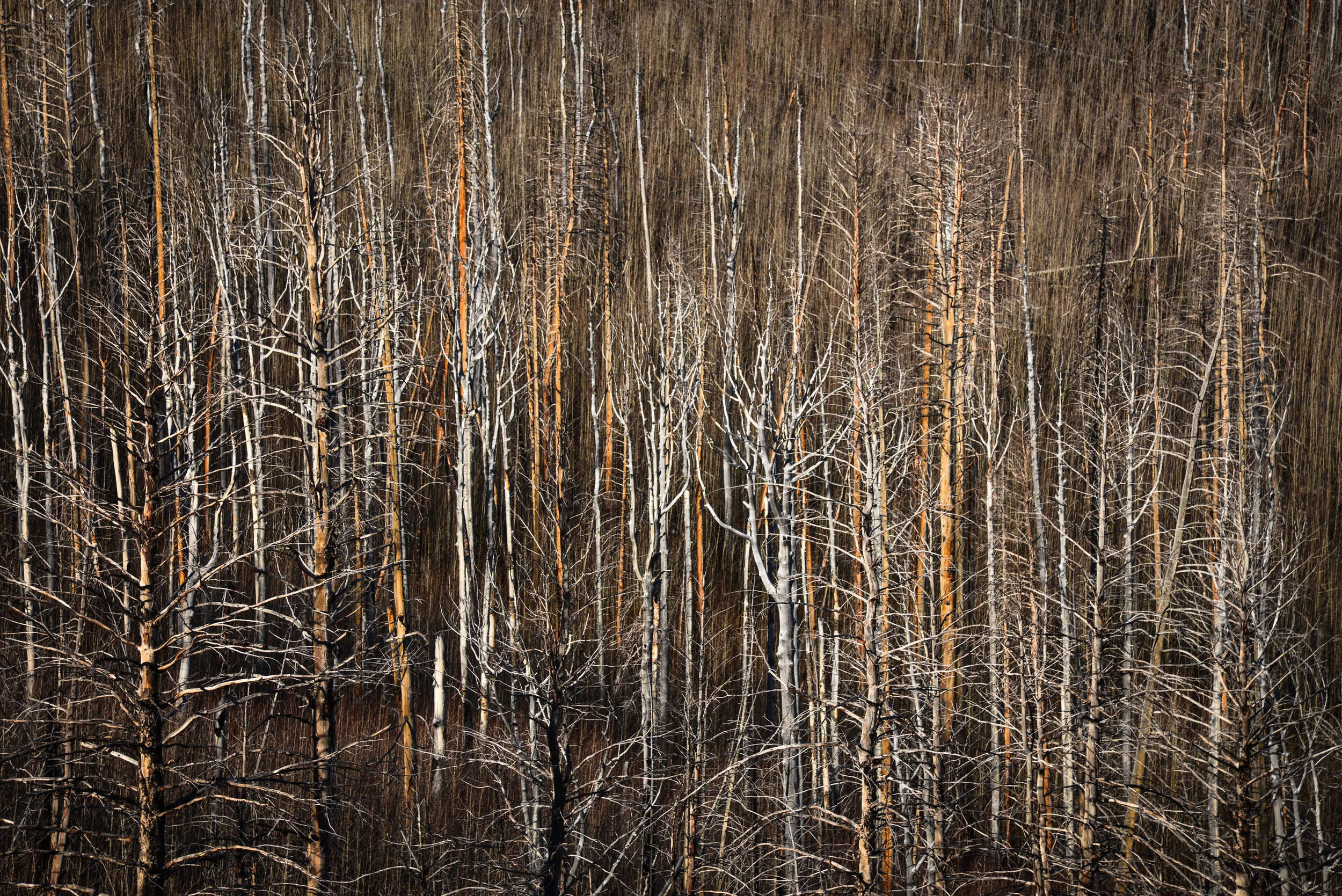 untitled-208.jpg